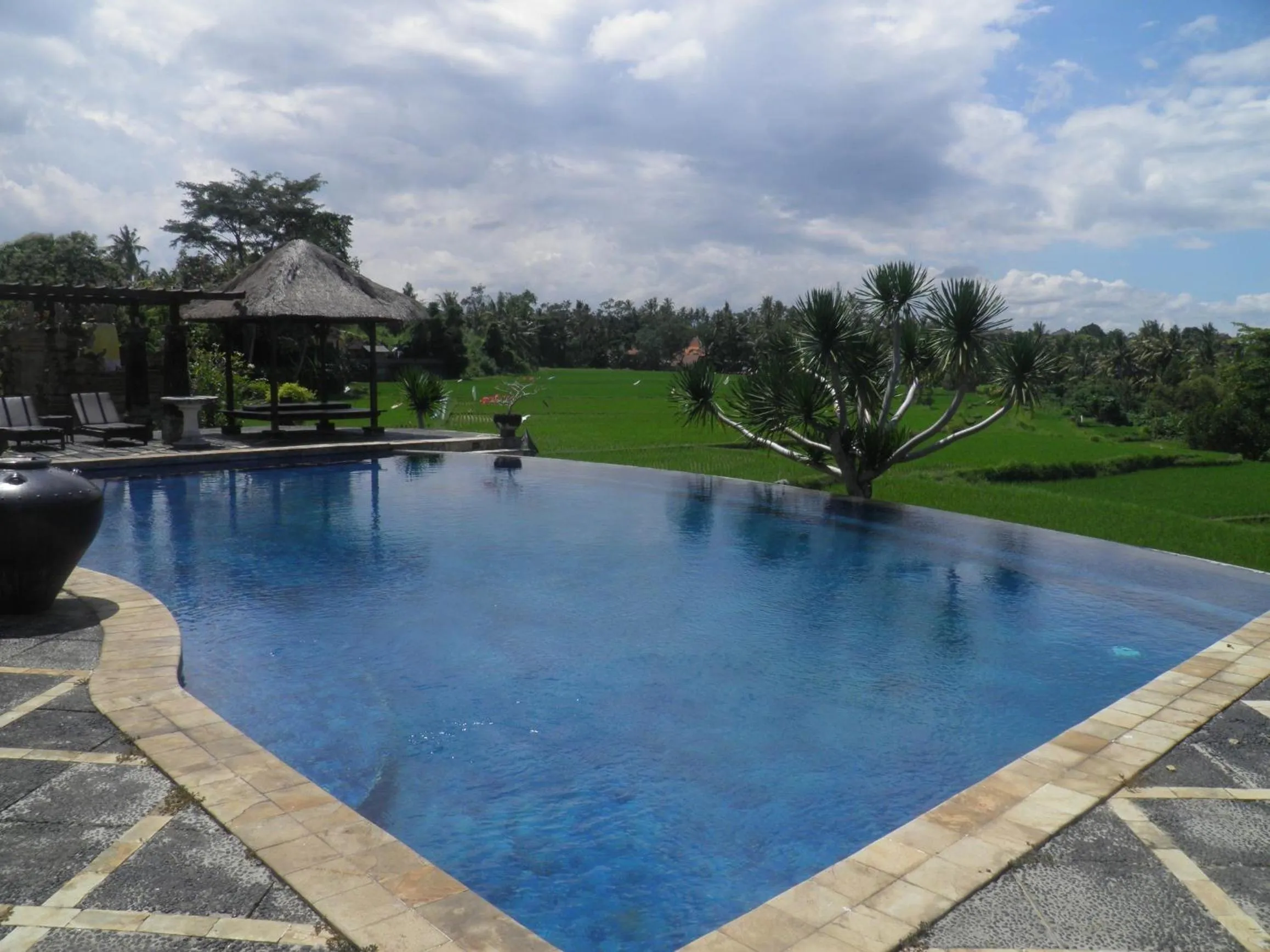Swimming pool in Bumi Ubud Resort