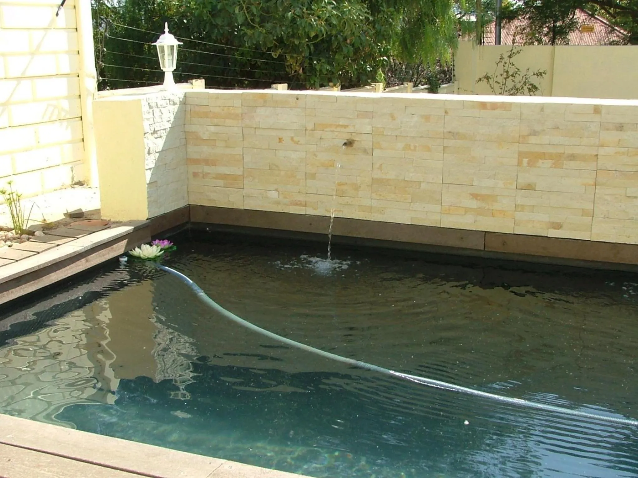 Swimming pool in Arum Place Guest House