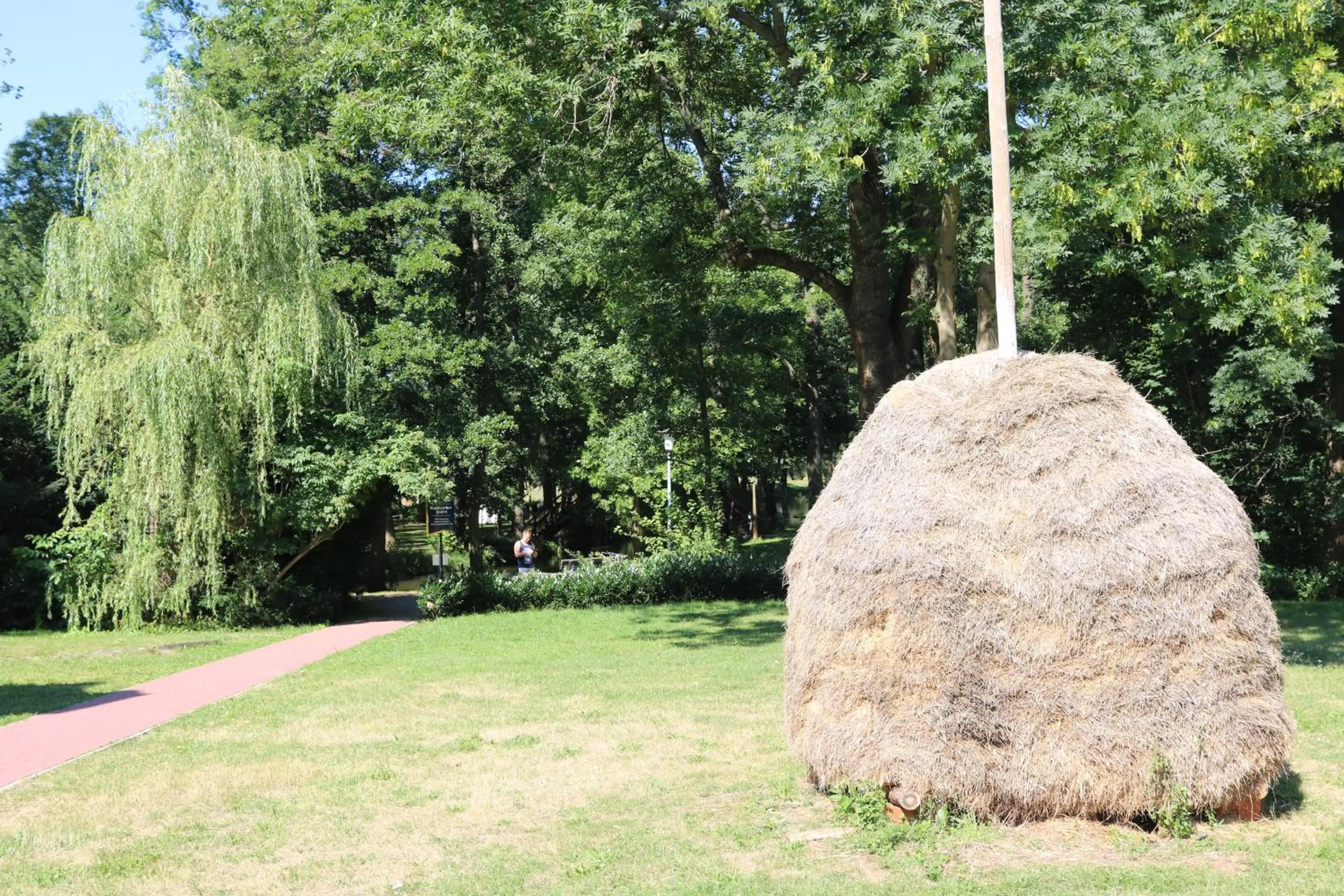 Natural landscape in Radduscher Hafen