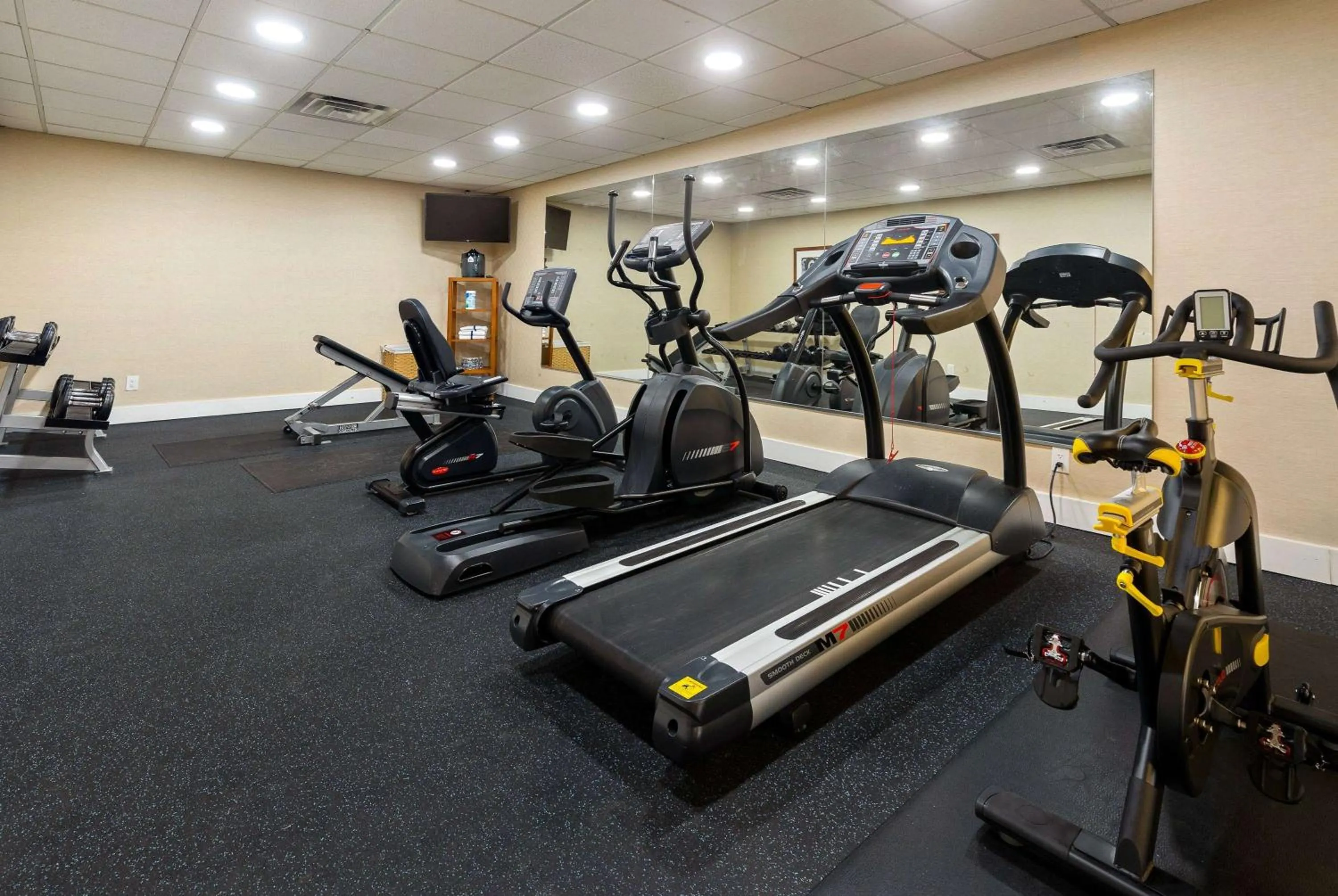 Fitness centre/facilities in Wyndham Garden Manassas