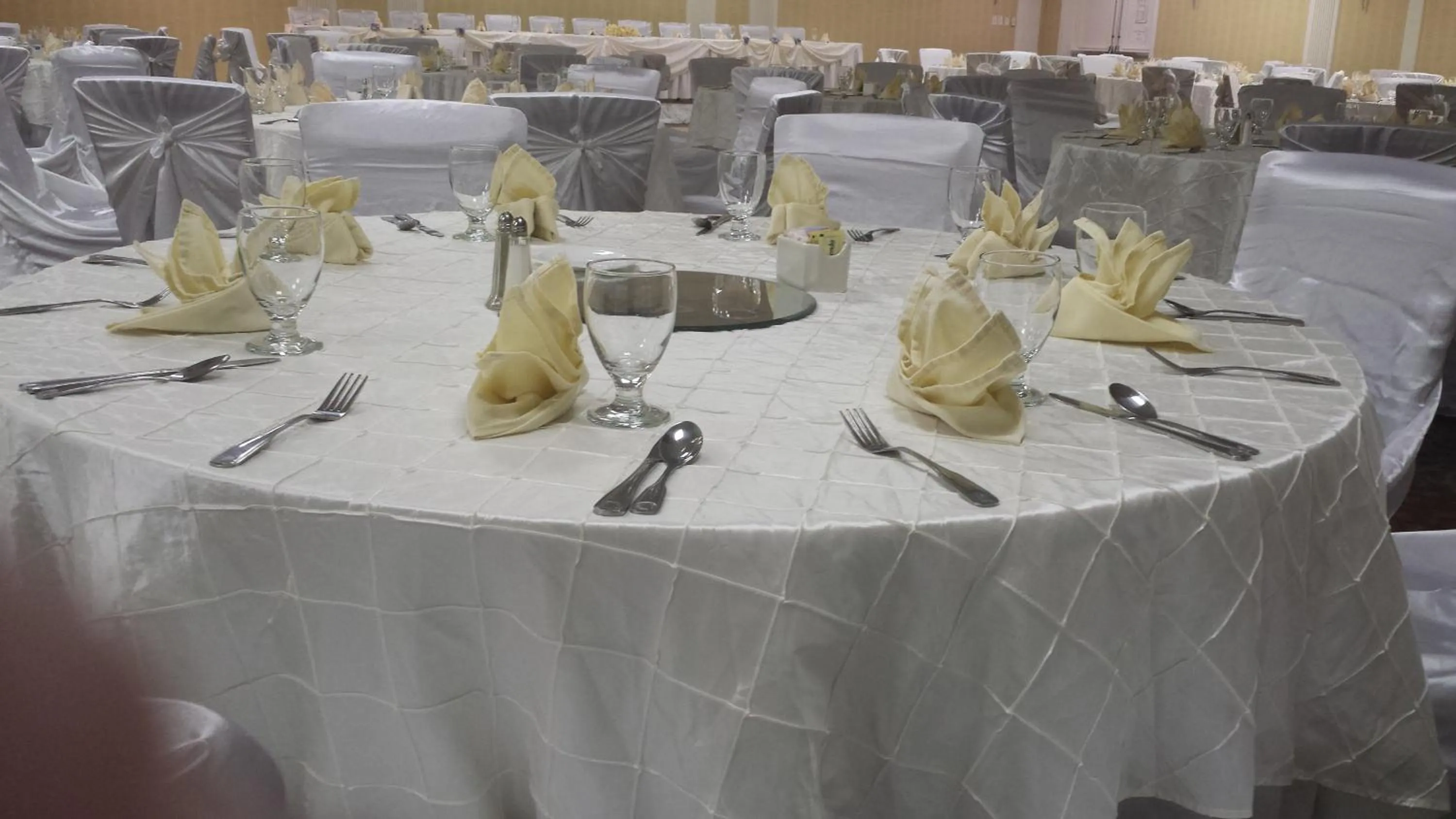 Banquet/Function facilities in Wyndham Garden Manassas