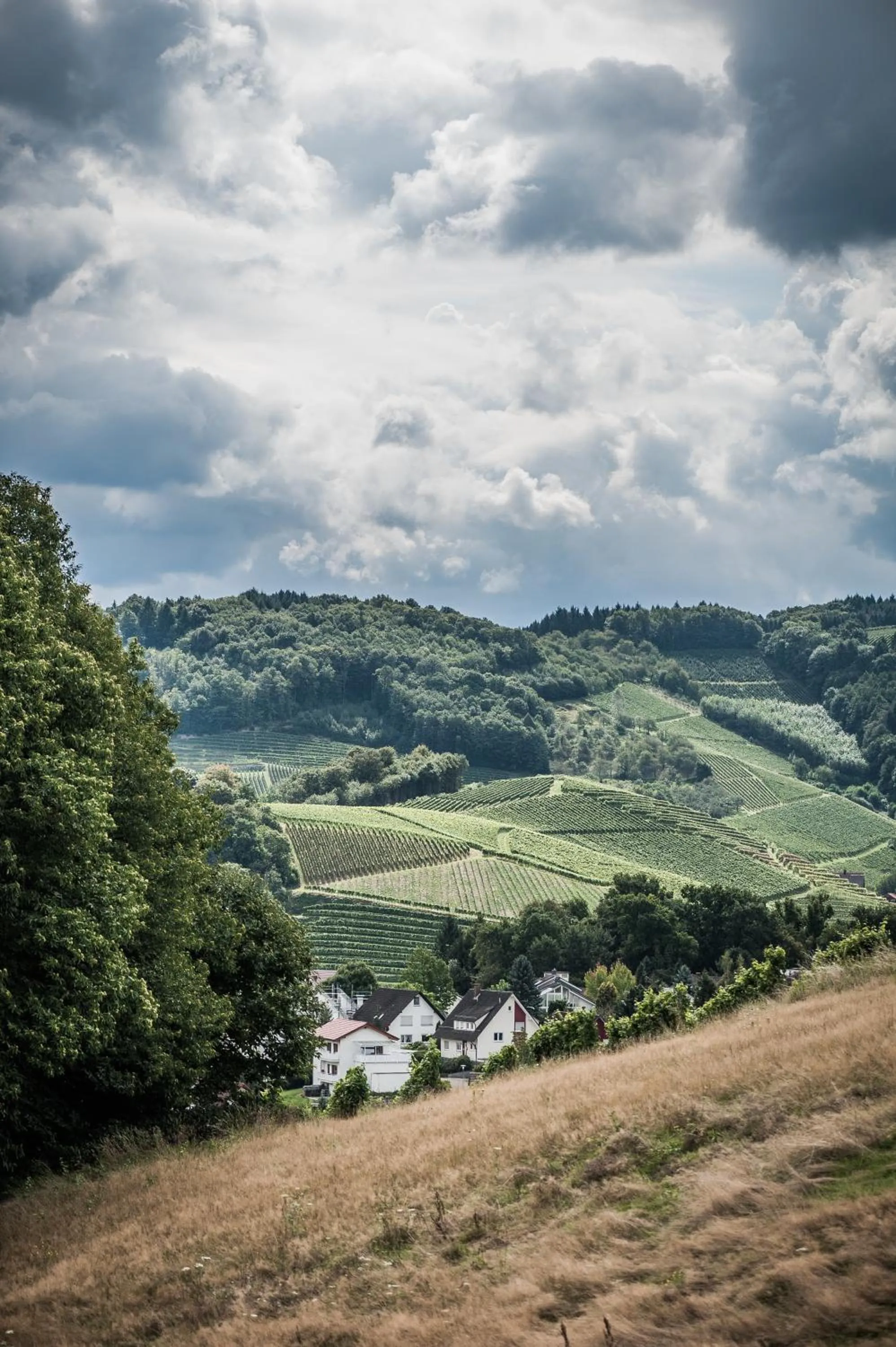Natural landscape in Landhotel Rebstock