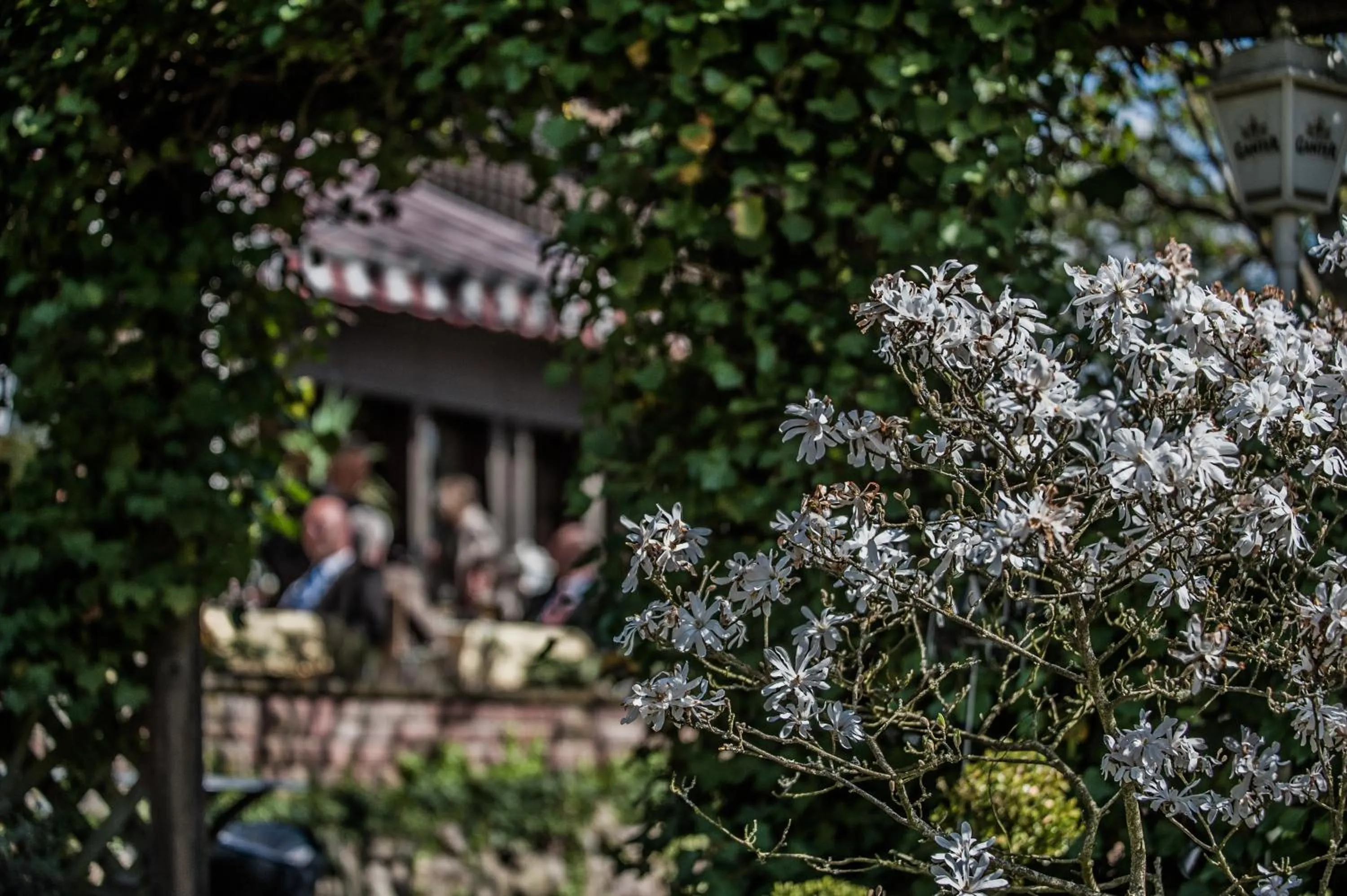 Garden in Landhotel Rebstock