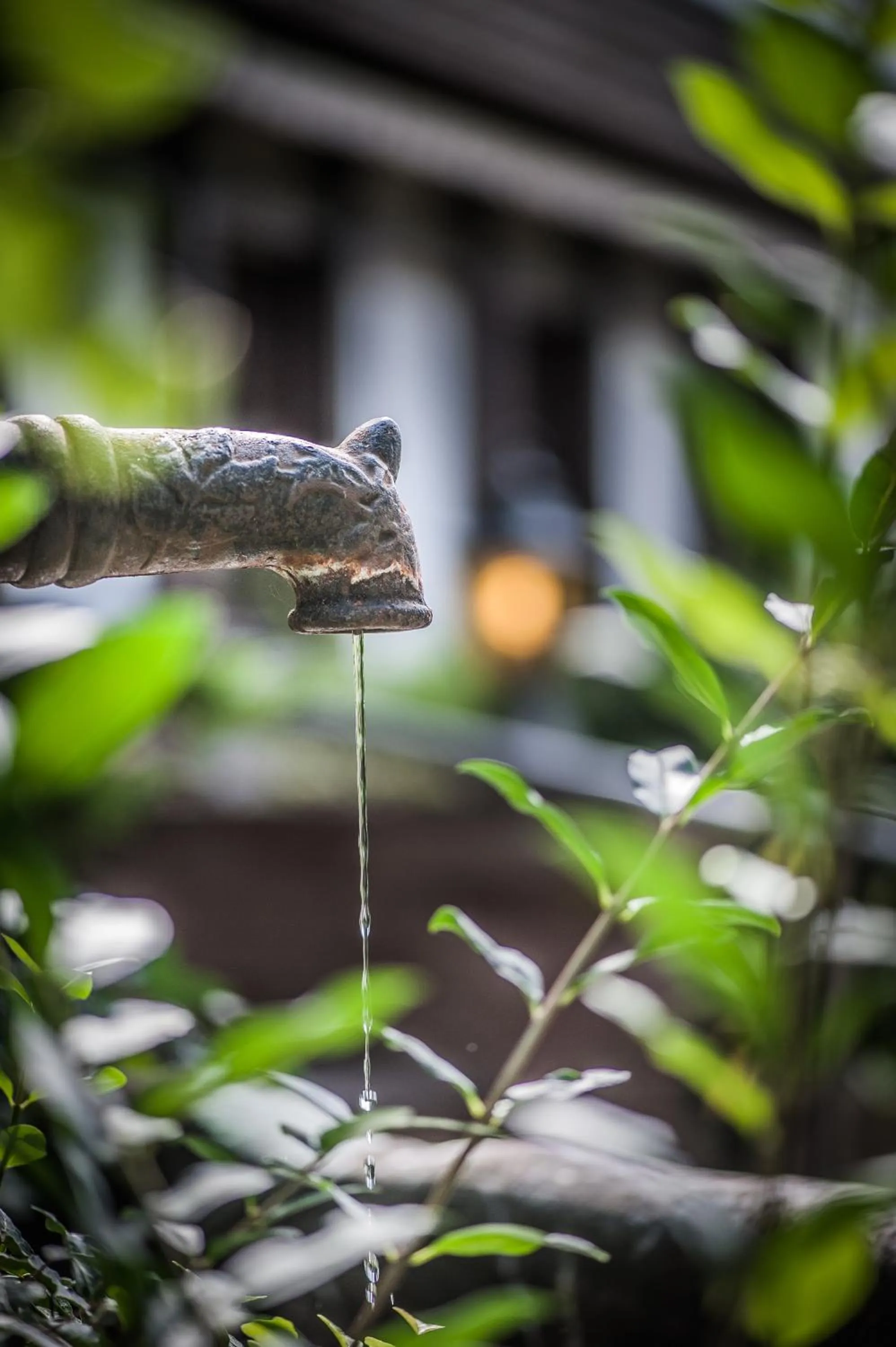 Garden in Landhotel Rebstock