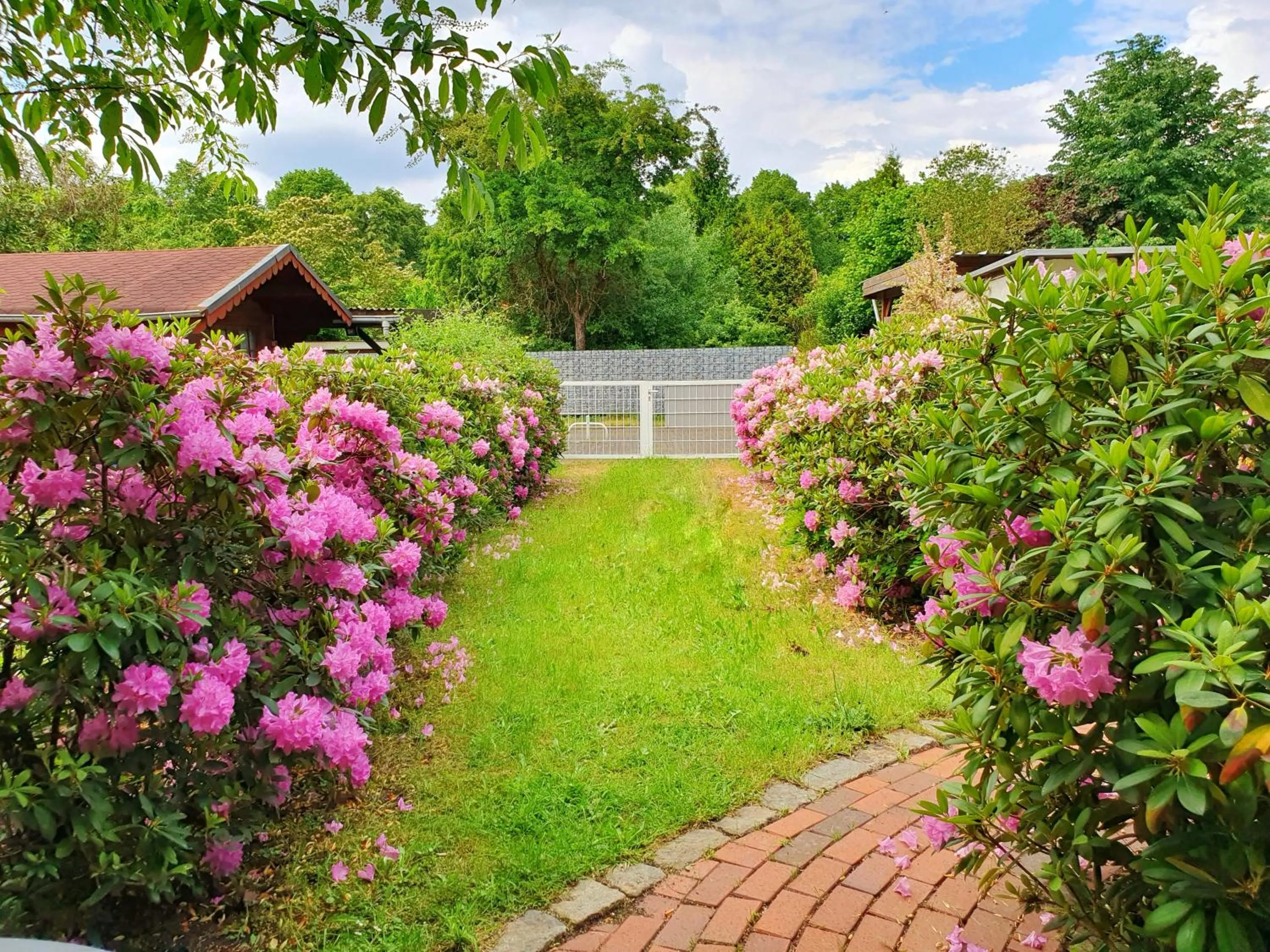 Garden in Aparthotel Jonas