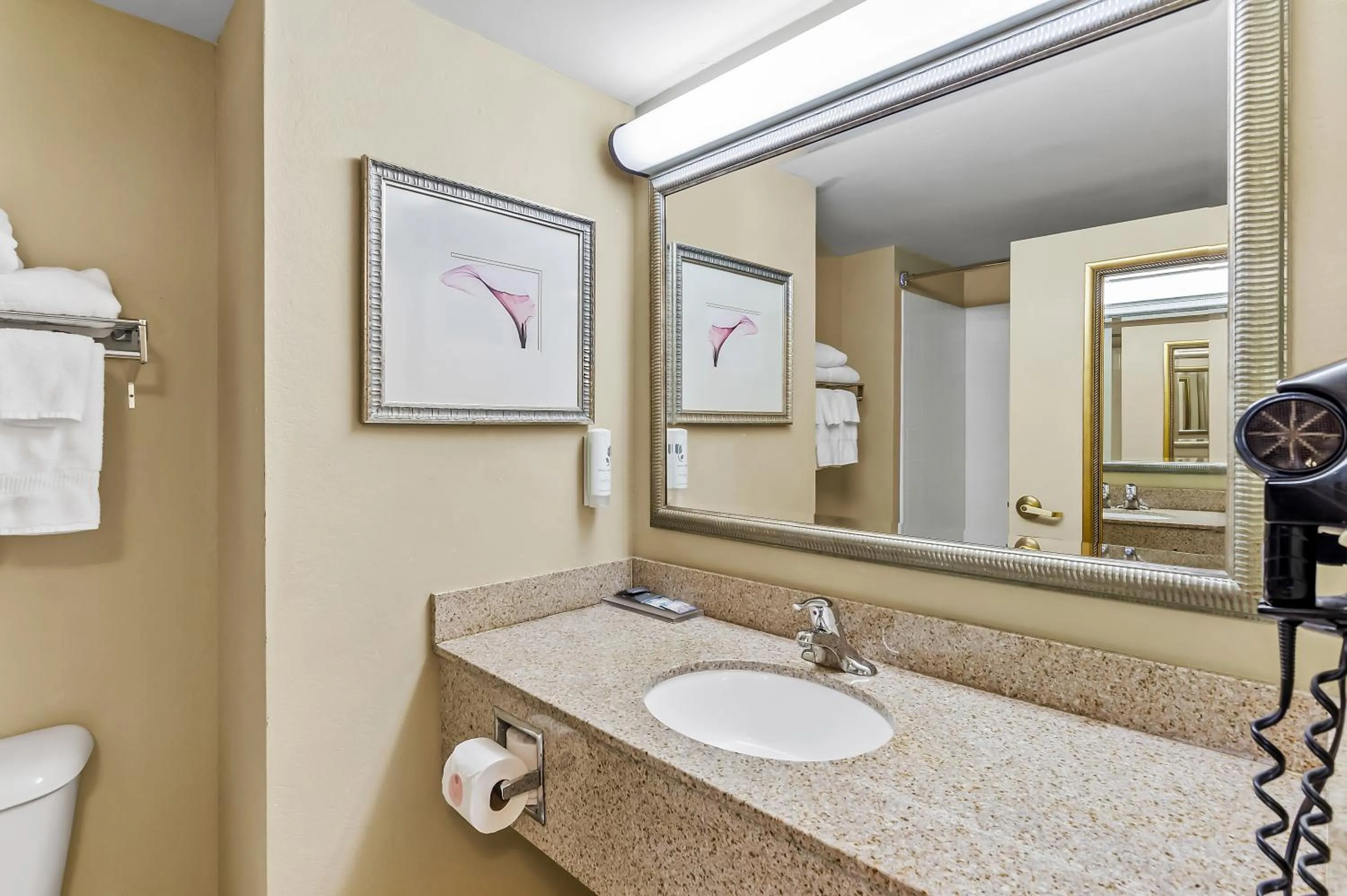 Bathroom in Country Inn & Suites by Radisson, Princeton, WV