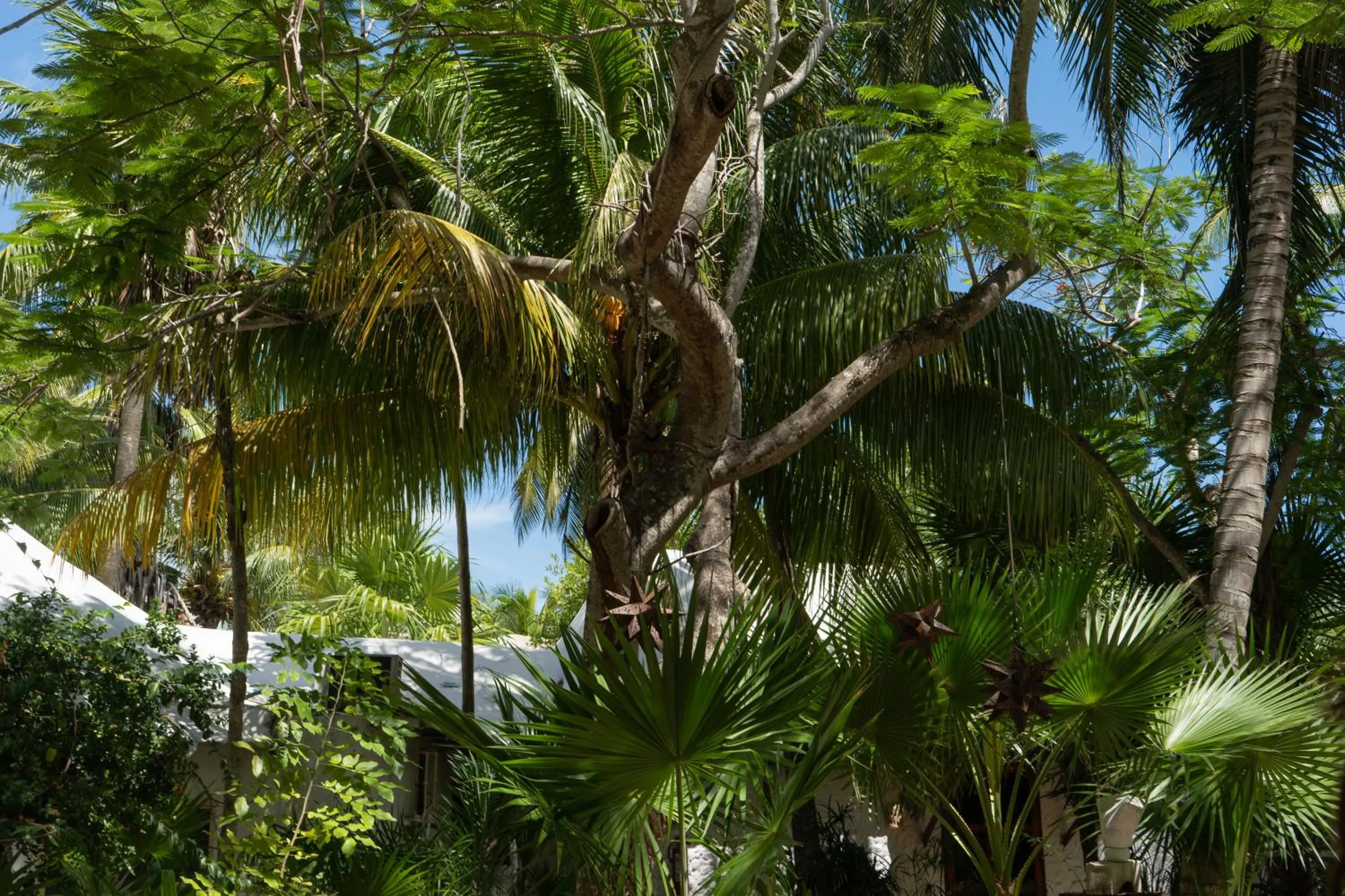 Garden in Zomay Beachfront Holbox