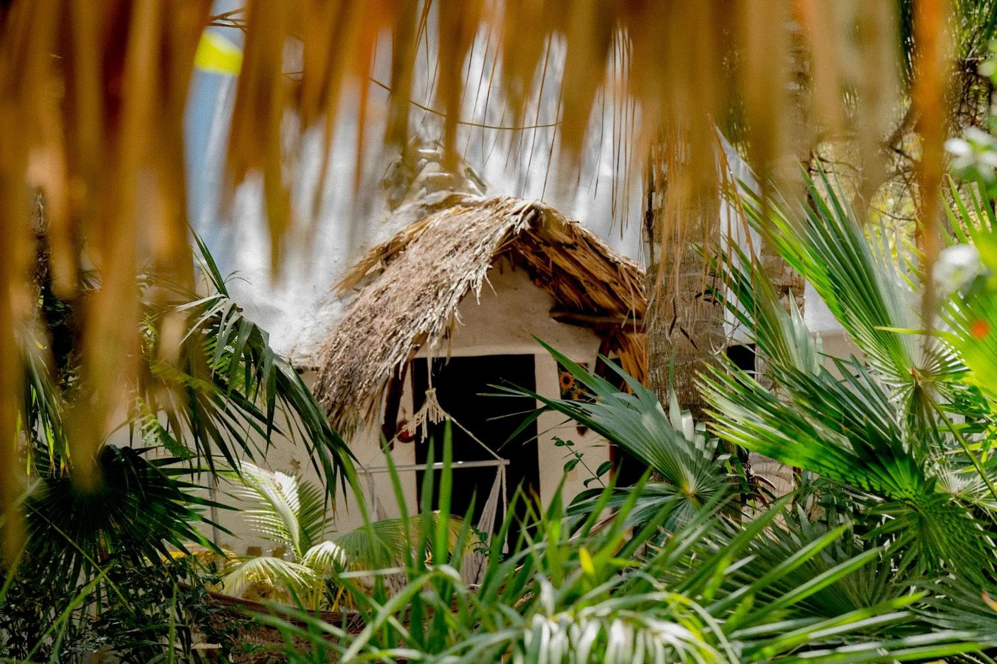 Garden in Zomay Beachfront Holbox