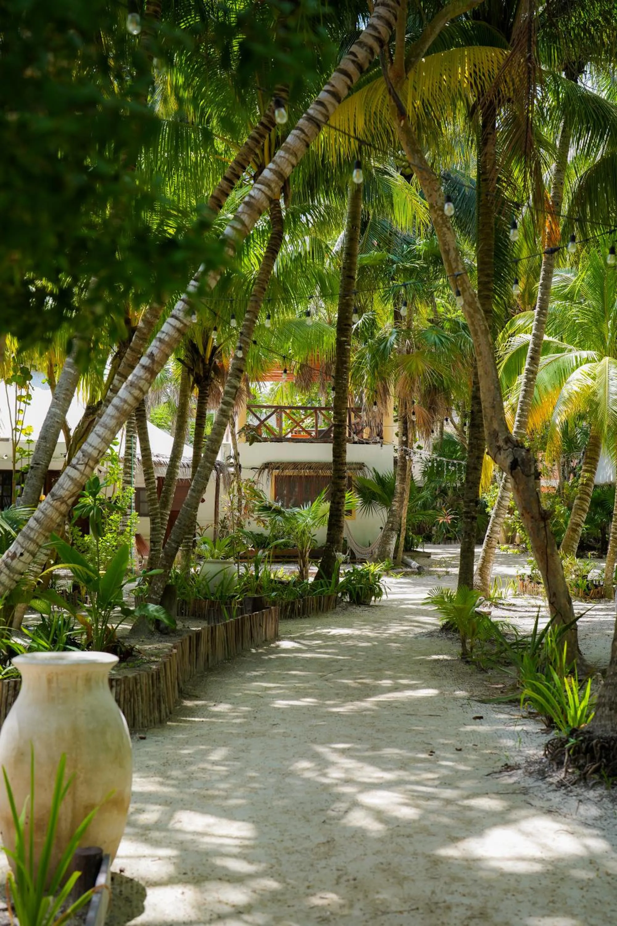 Garden in Zomay Beachfront Holbox