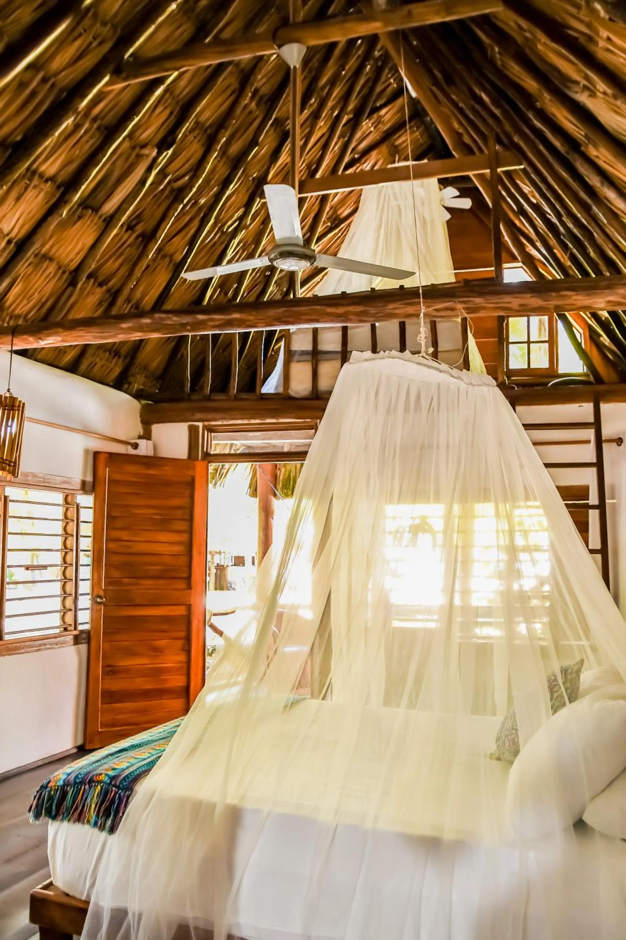 Photo of the whole room, Bed in Zomay Beachfront Holbox