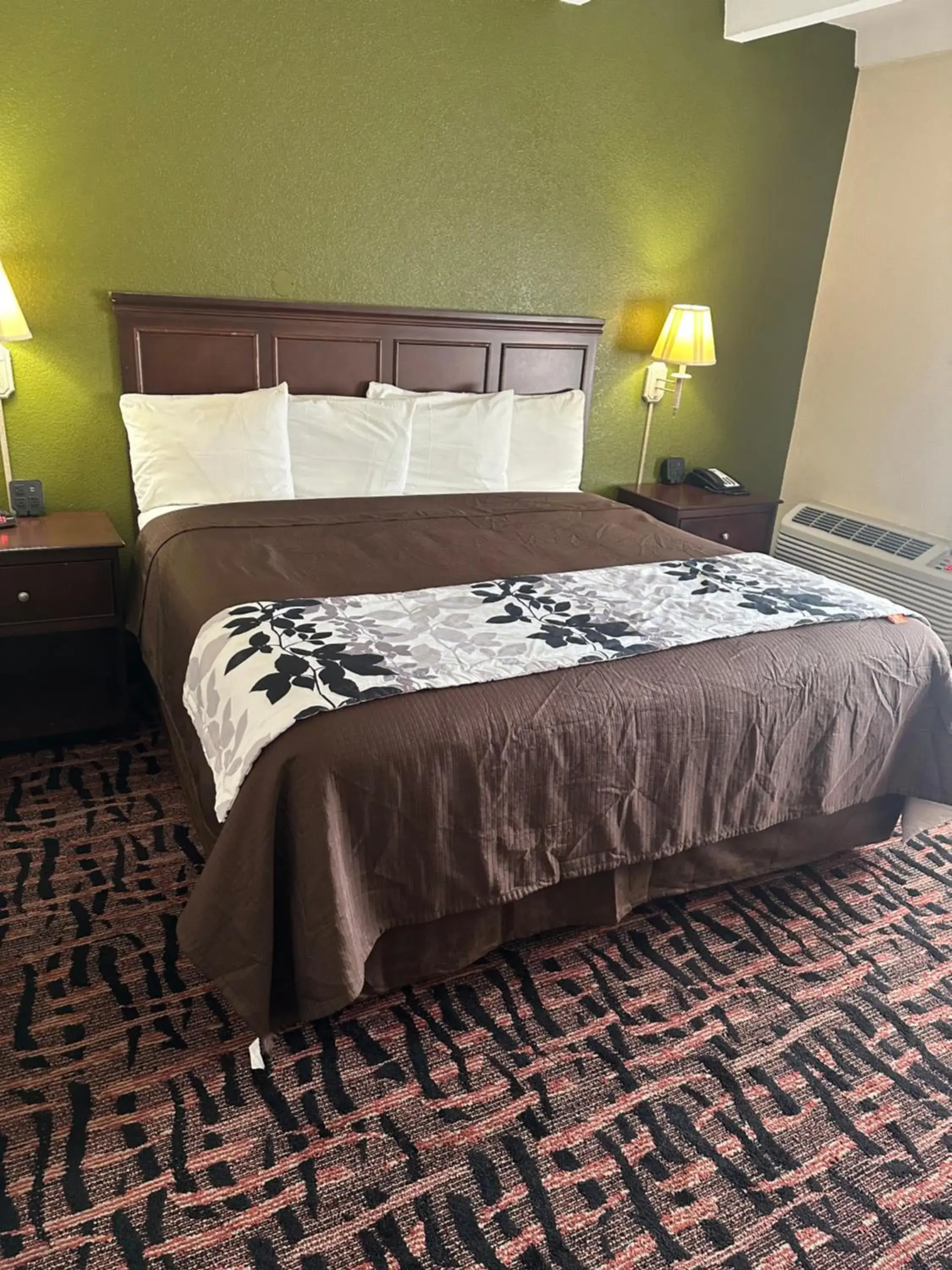 King Room - Non-Smoking in Executive Inn King Room - Non-Smoking in Executive Inn