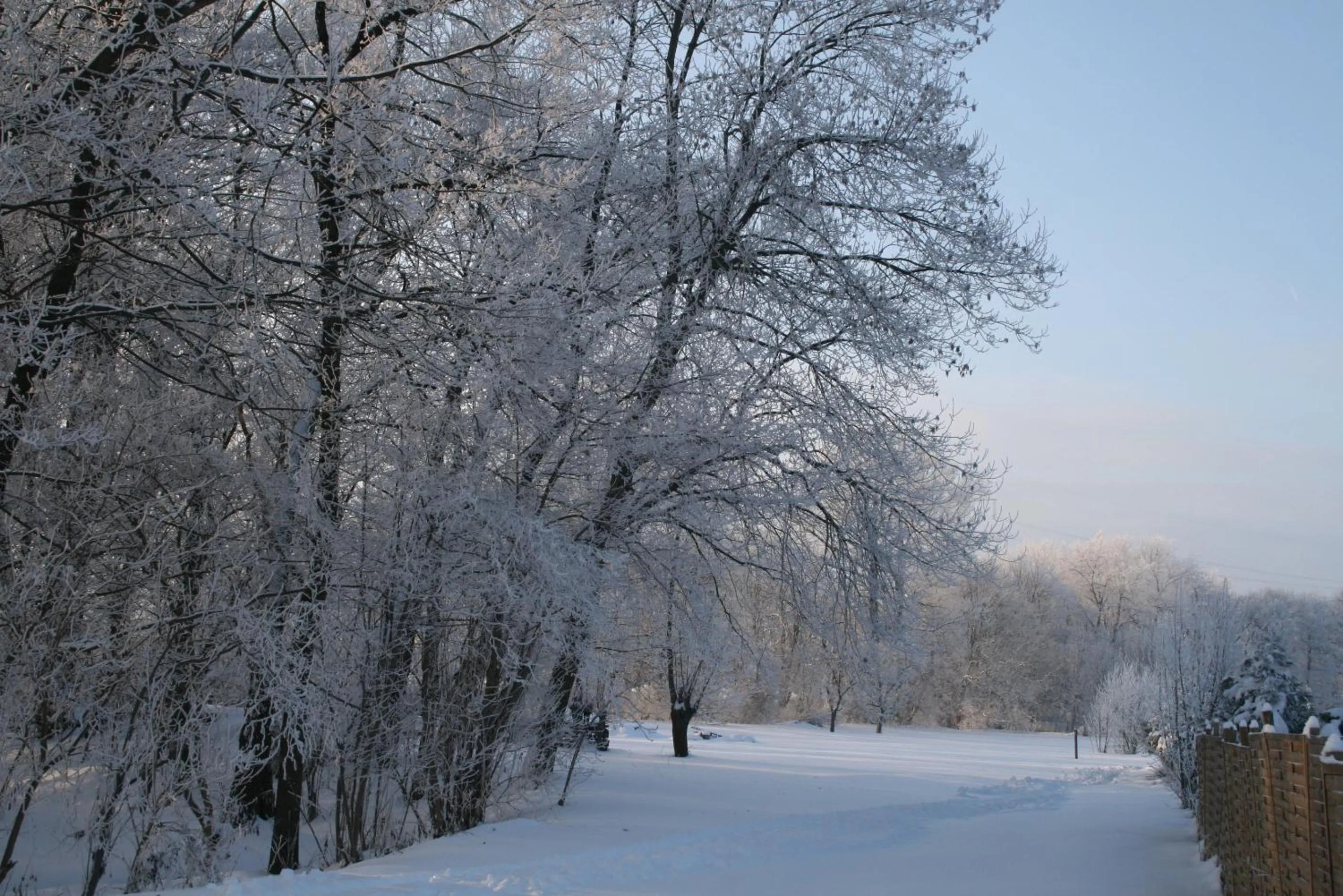 Natural landscape in Landgasthof & Hotel KRONE Eischleben