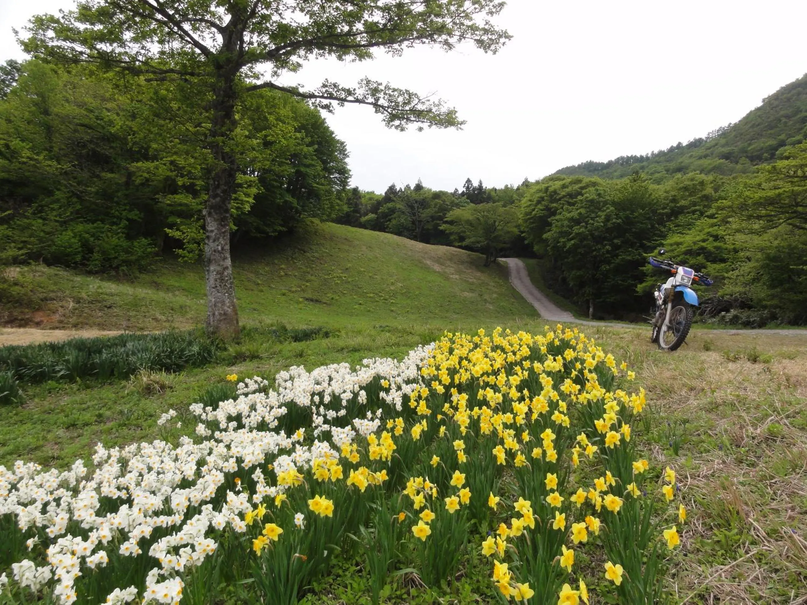 Hiking in Yonagoya