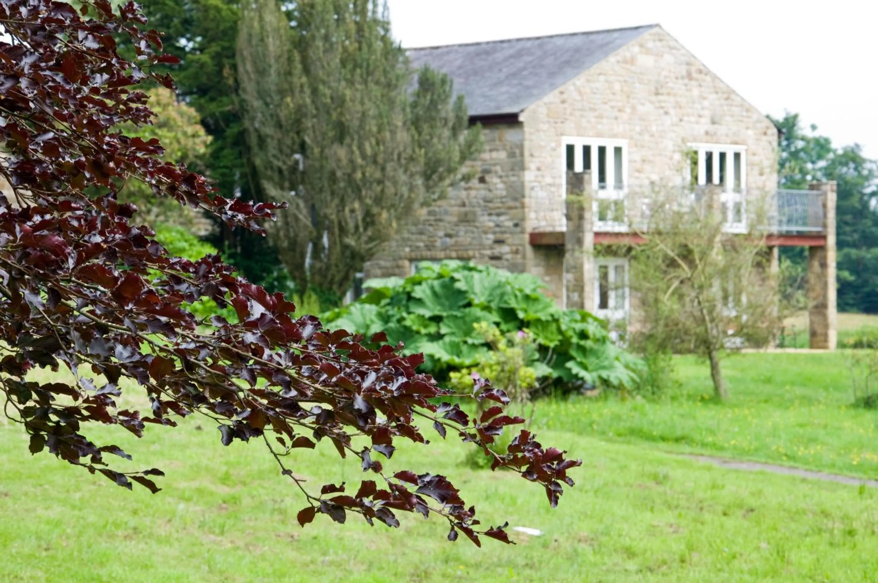 Garden in Riverdale Hall Hotel & Leisure