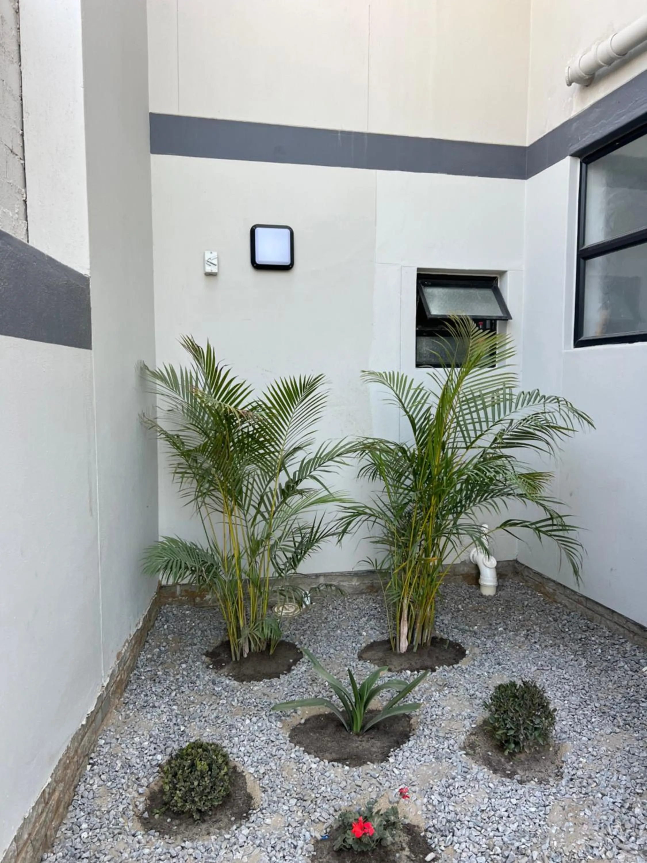 Garden view in Elilo Bed and breakfast