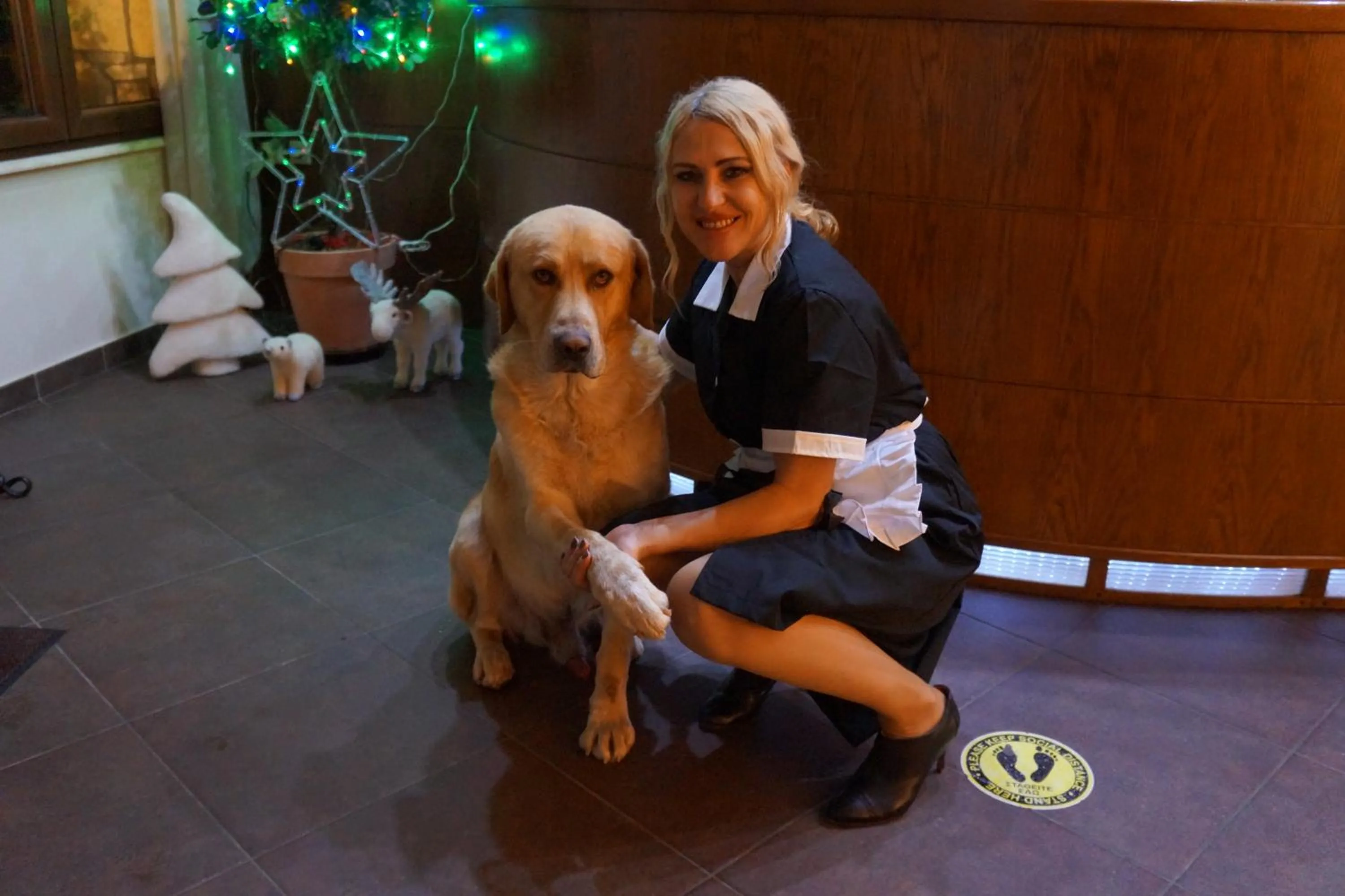 Pets in Melegos Inn Hotel