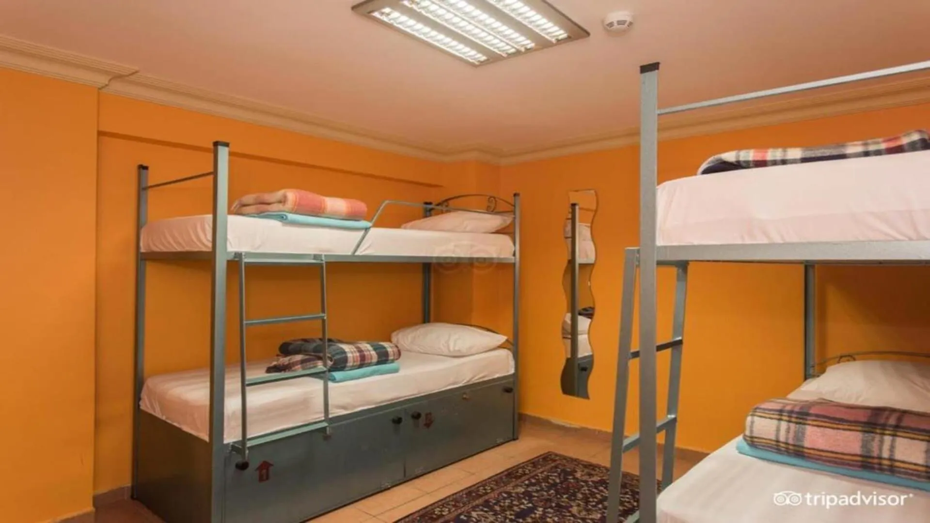 bunk bed, Bed in Agora Guesthouse