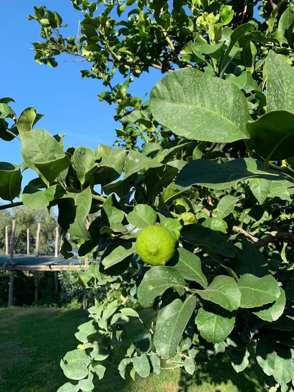 Garden in Anna Belle Elegant AgriResort