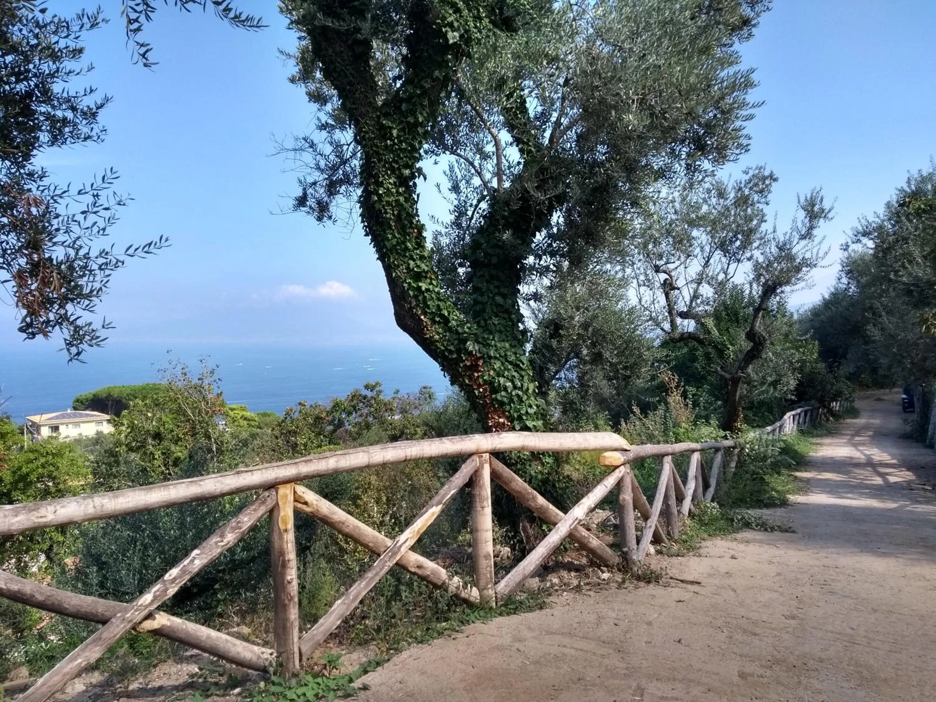 Natural landscape in Anna Belle Elegant AgriResort