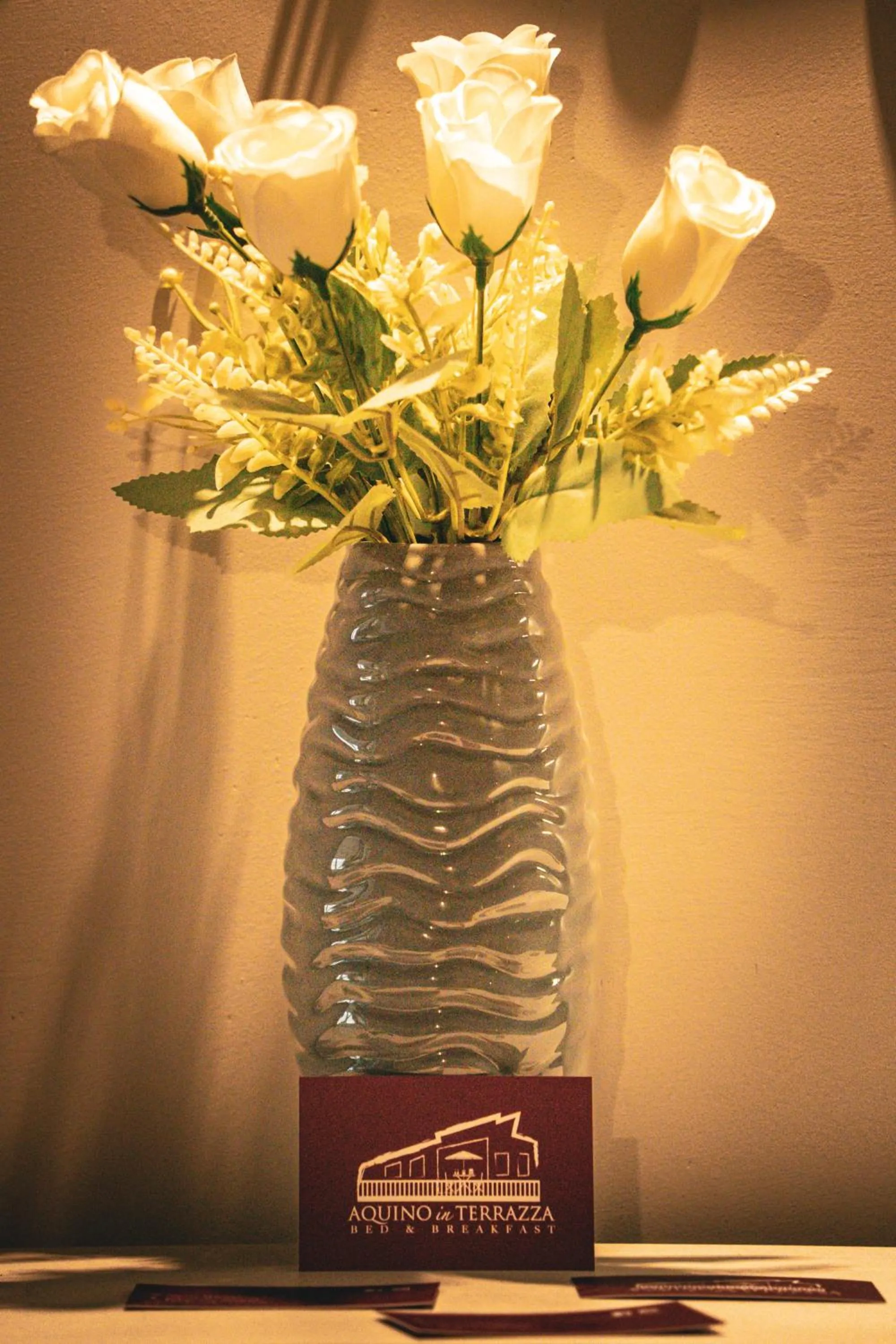 B&B Aquino in Terrazza