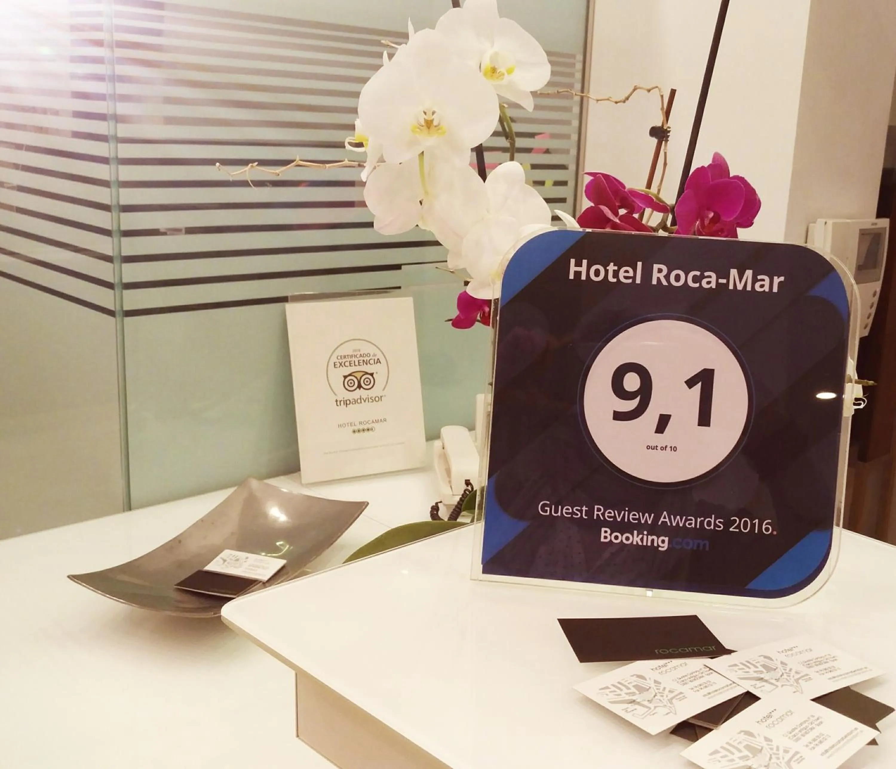 Certificate/Award in Hotel Clopy Rocamar