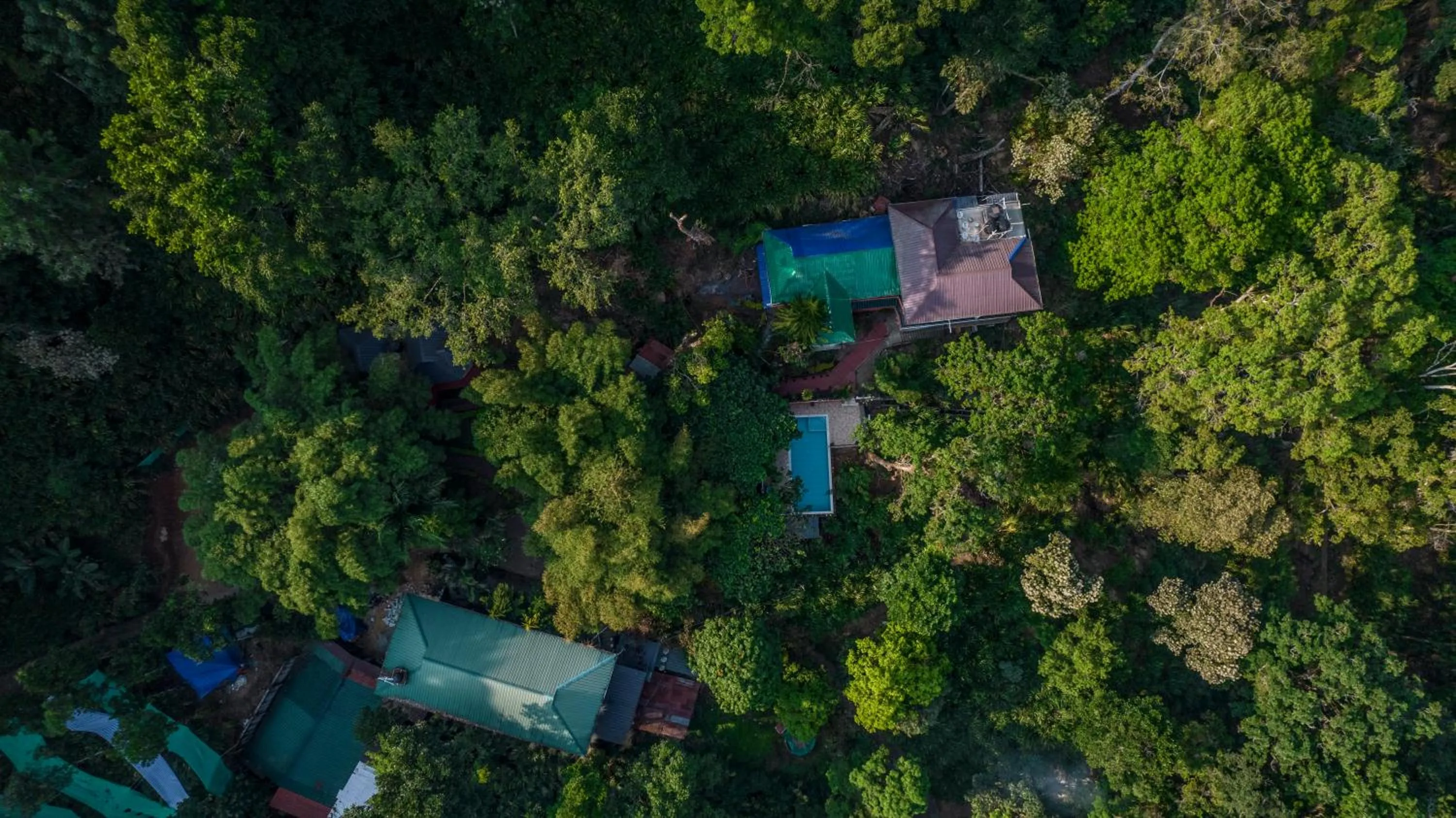 Property building in Spice Jungle Resort