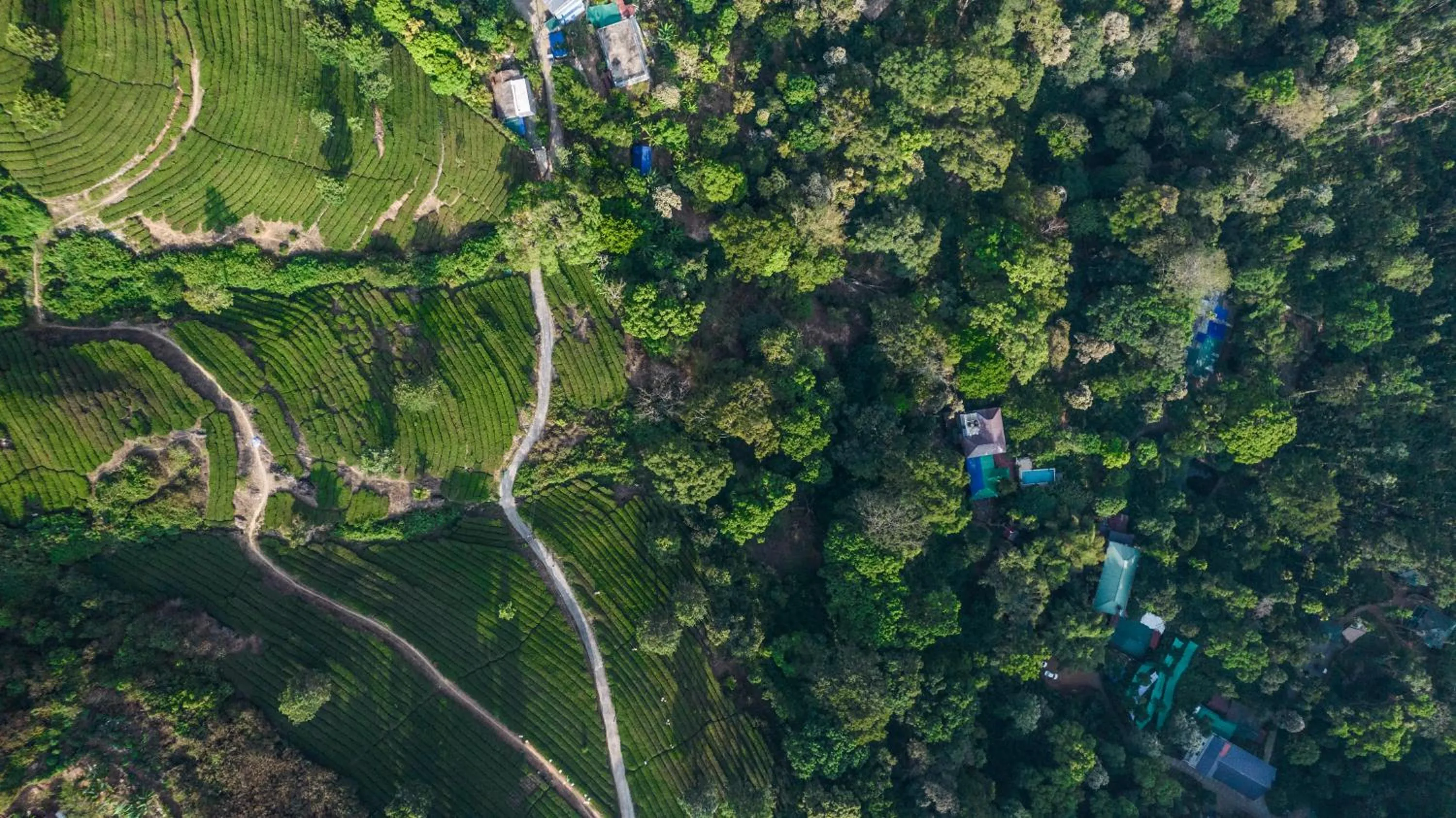 Bird's eye view in Spice Jungle Resort