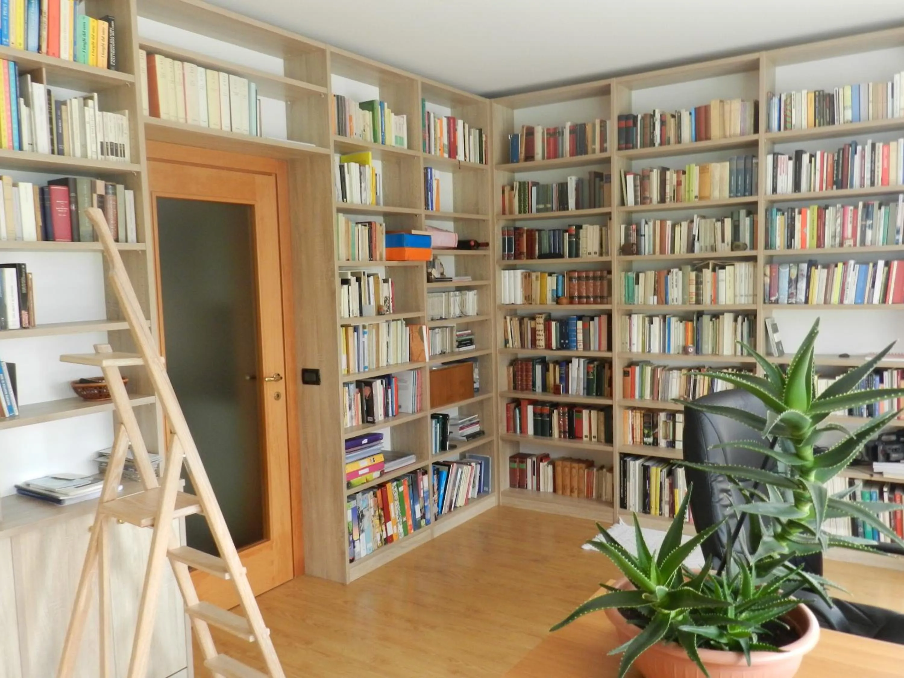 Library in al Sol Levante
