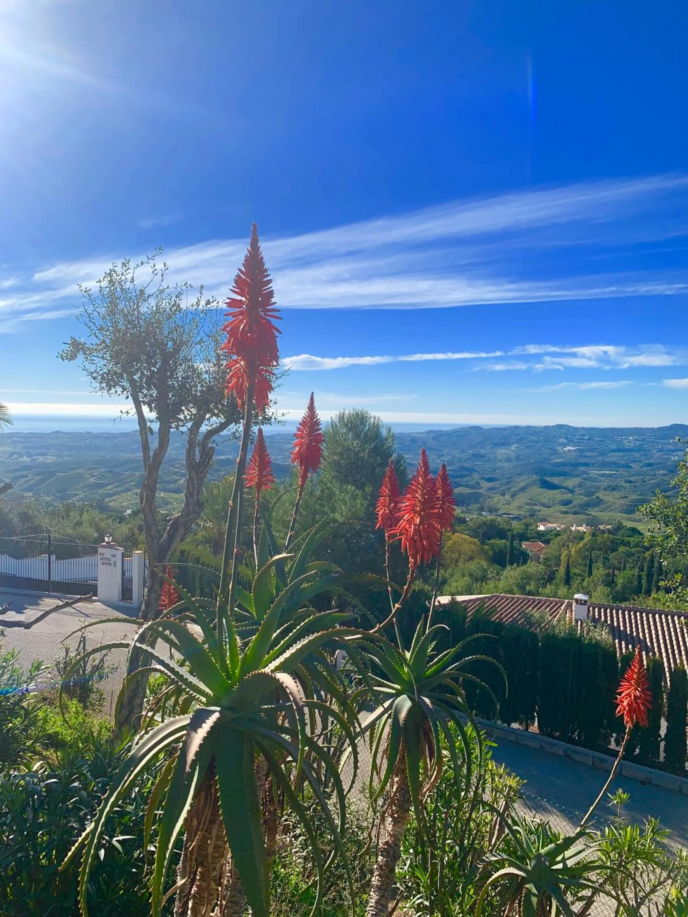 Natural landscape in Villa Mañana