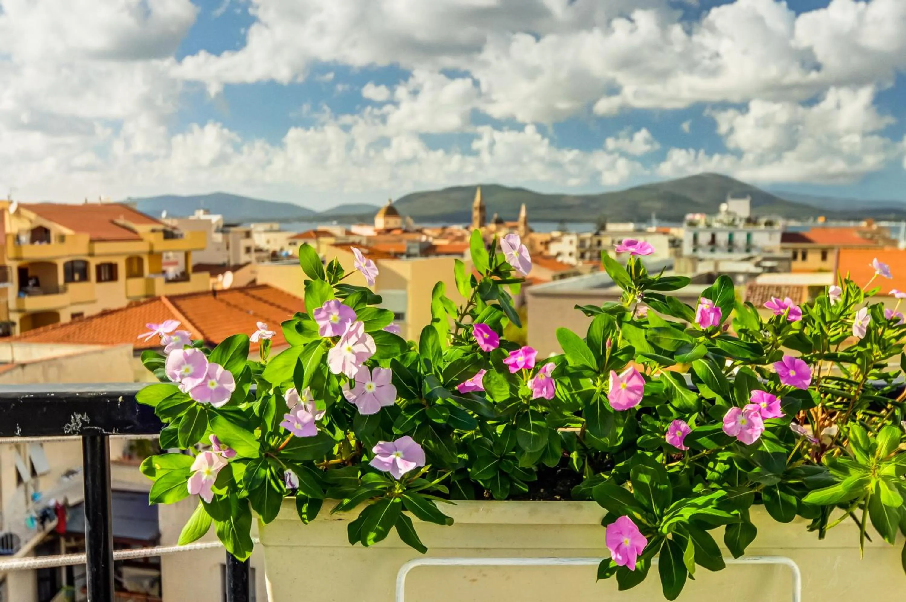 Balcony/Terrace in Alghero Roof Garden