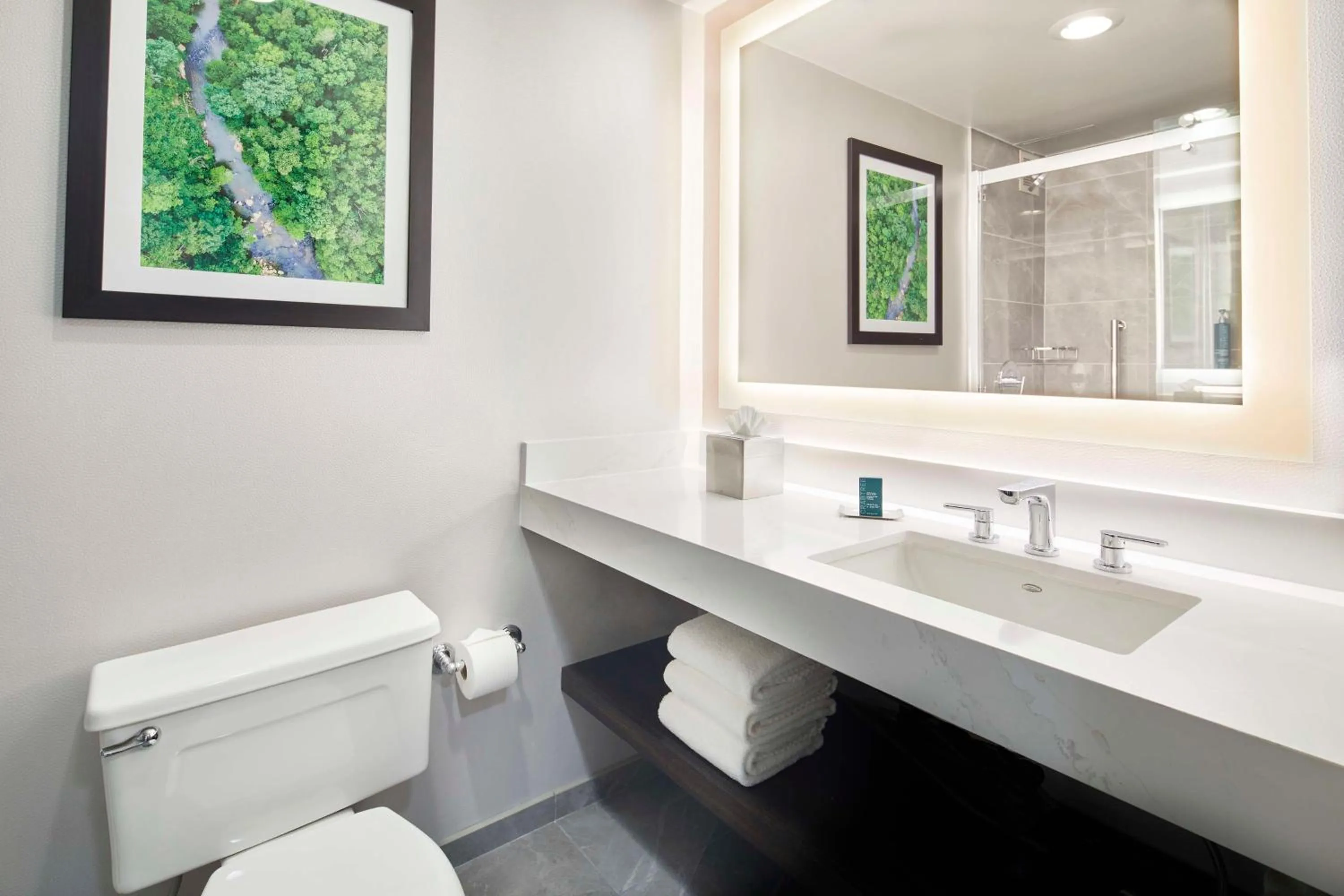 Bathroom in DoubleTree by Hilton Atlanta/Roswell - Alpharetta Area