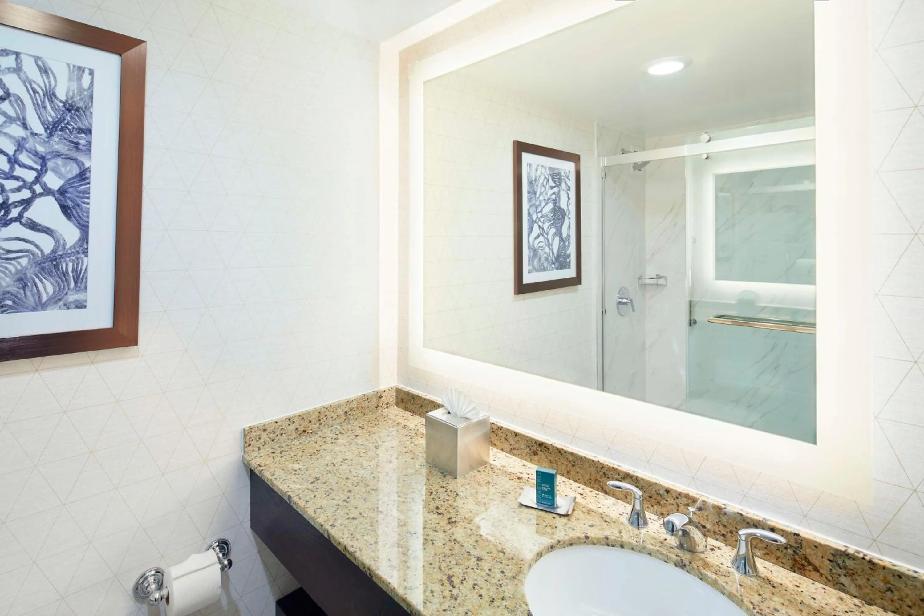 Bathroom in DoubleTree by Hilton Atlanta/Roswell - Alpharetta Area
