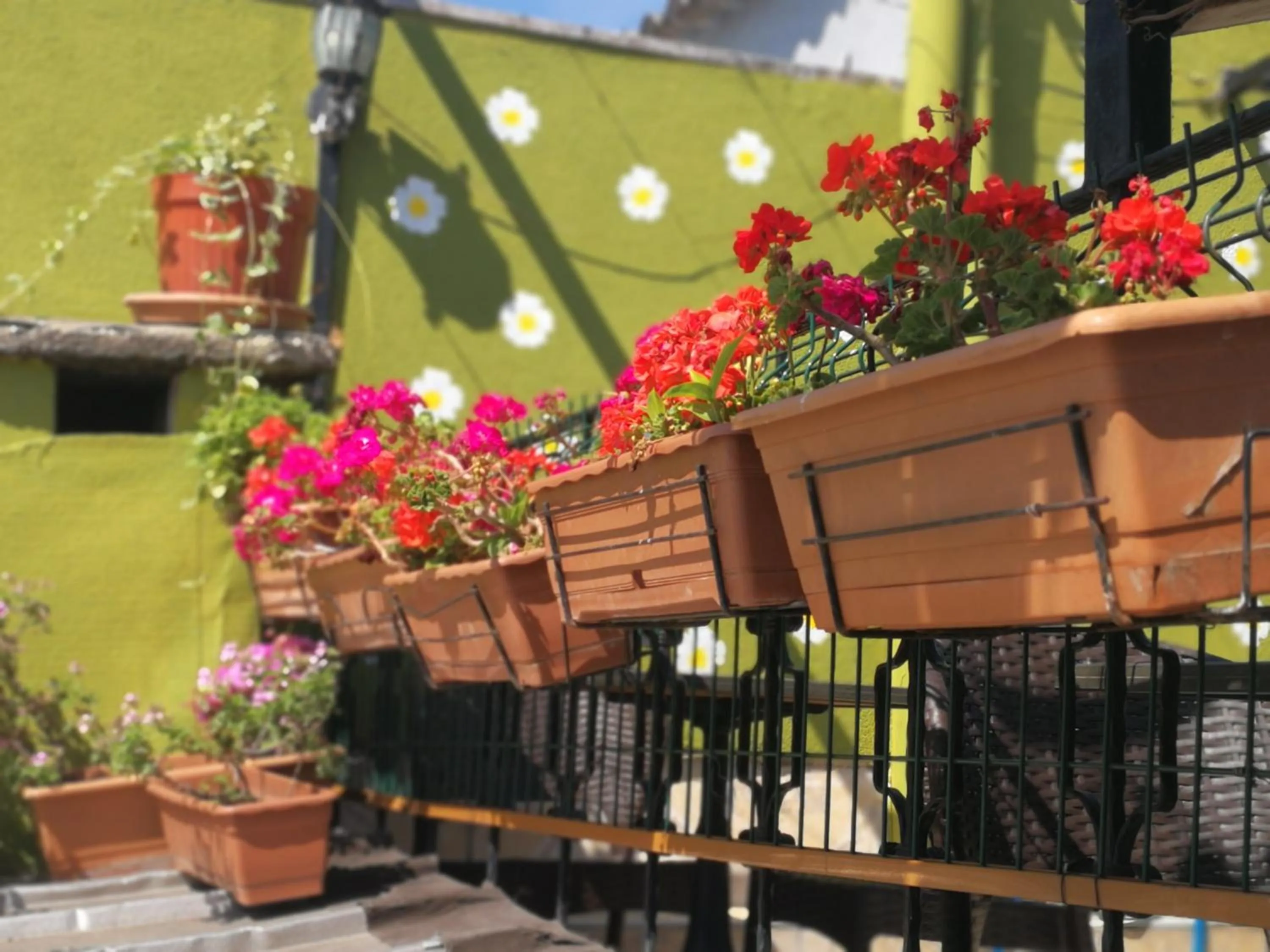 Balcony/Terrace in Marmara Guesthouse