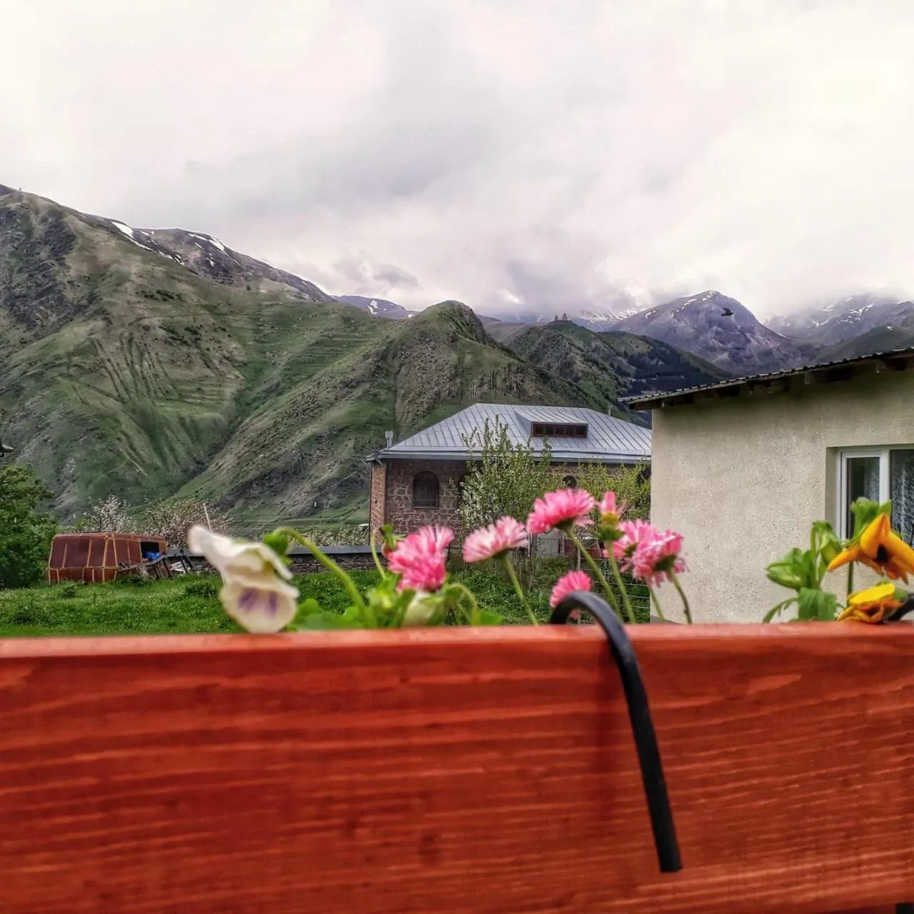 Guest House Elguja Qushashvili