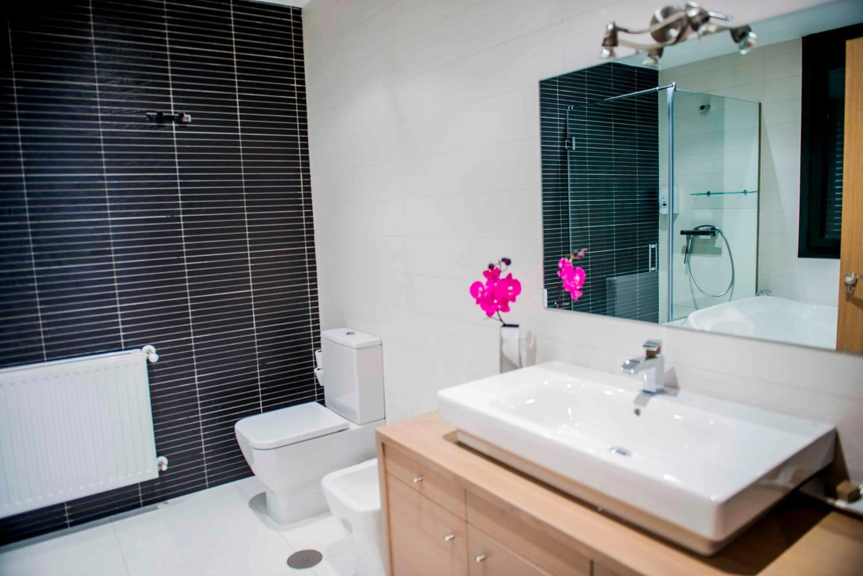 Hotel Meson de Erosa