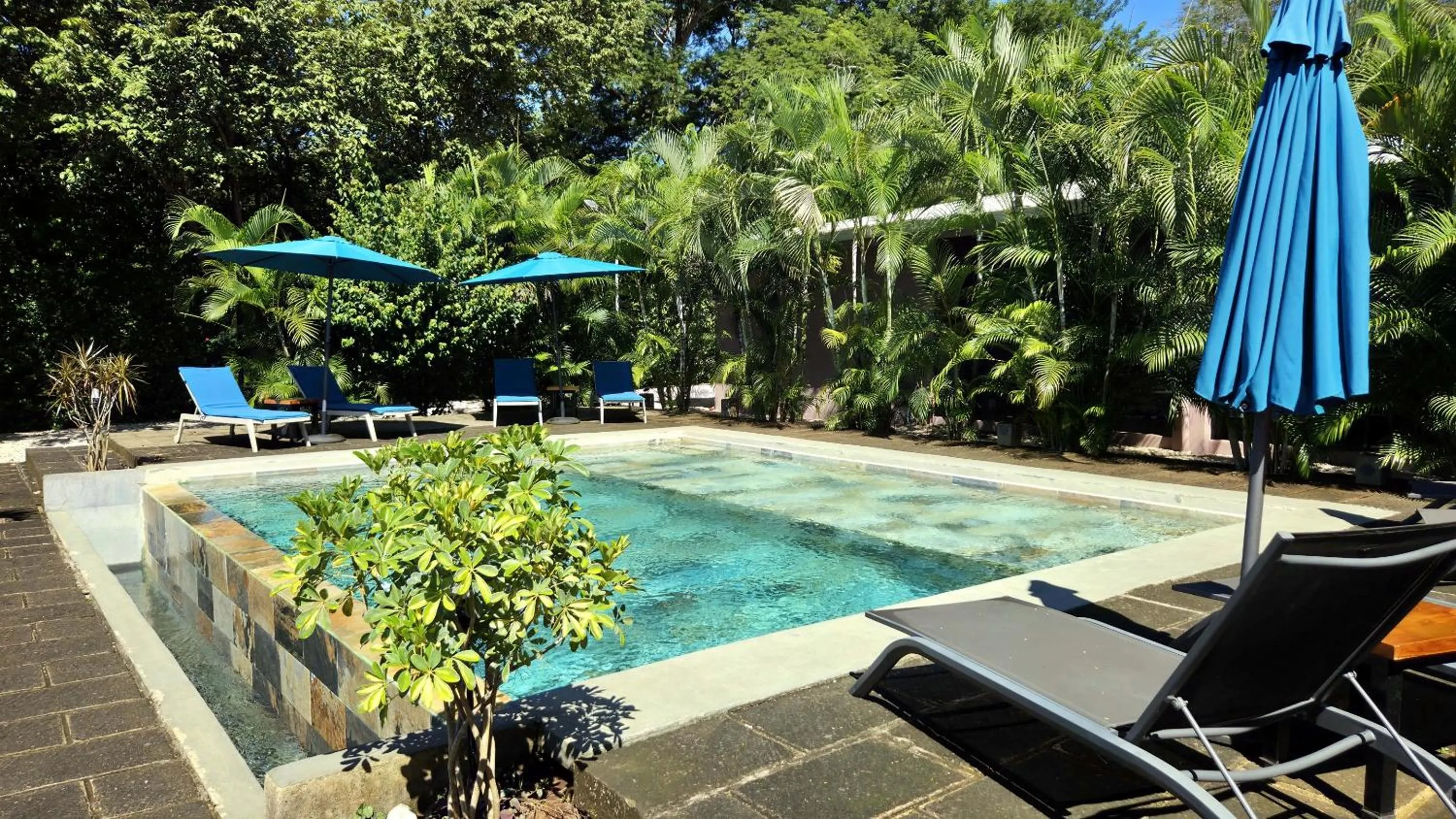 Pool view in Tee-K Lodge Tamarindo