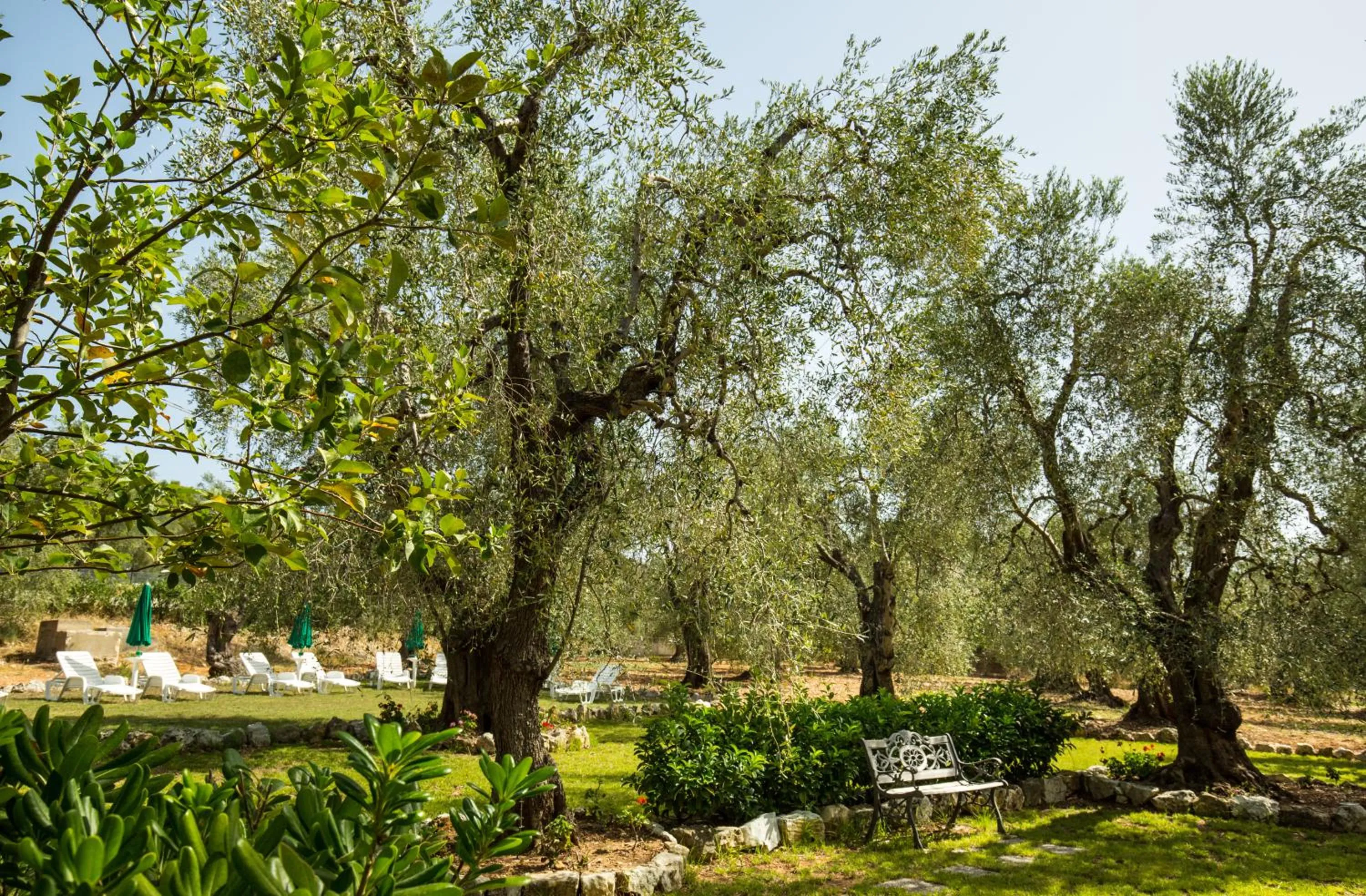 Day in Residence Valleverde