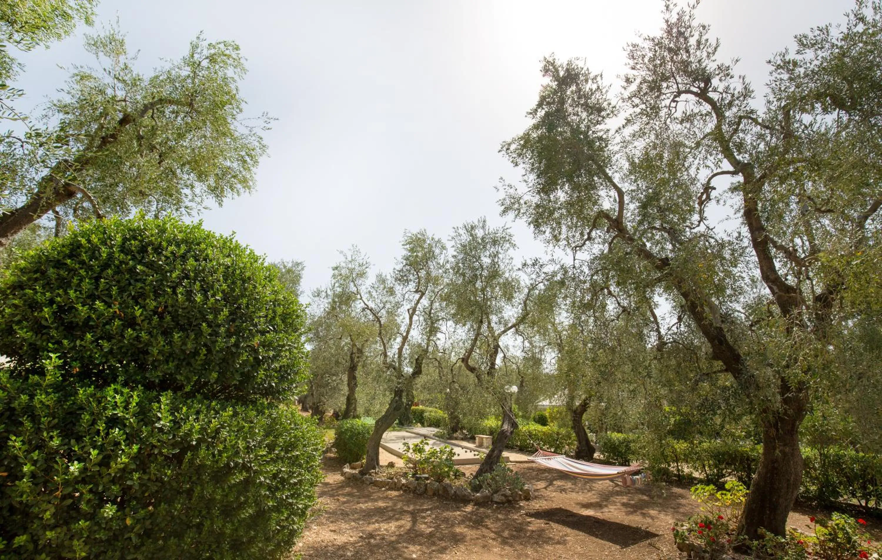 Day in Residence Valleverde