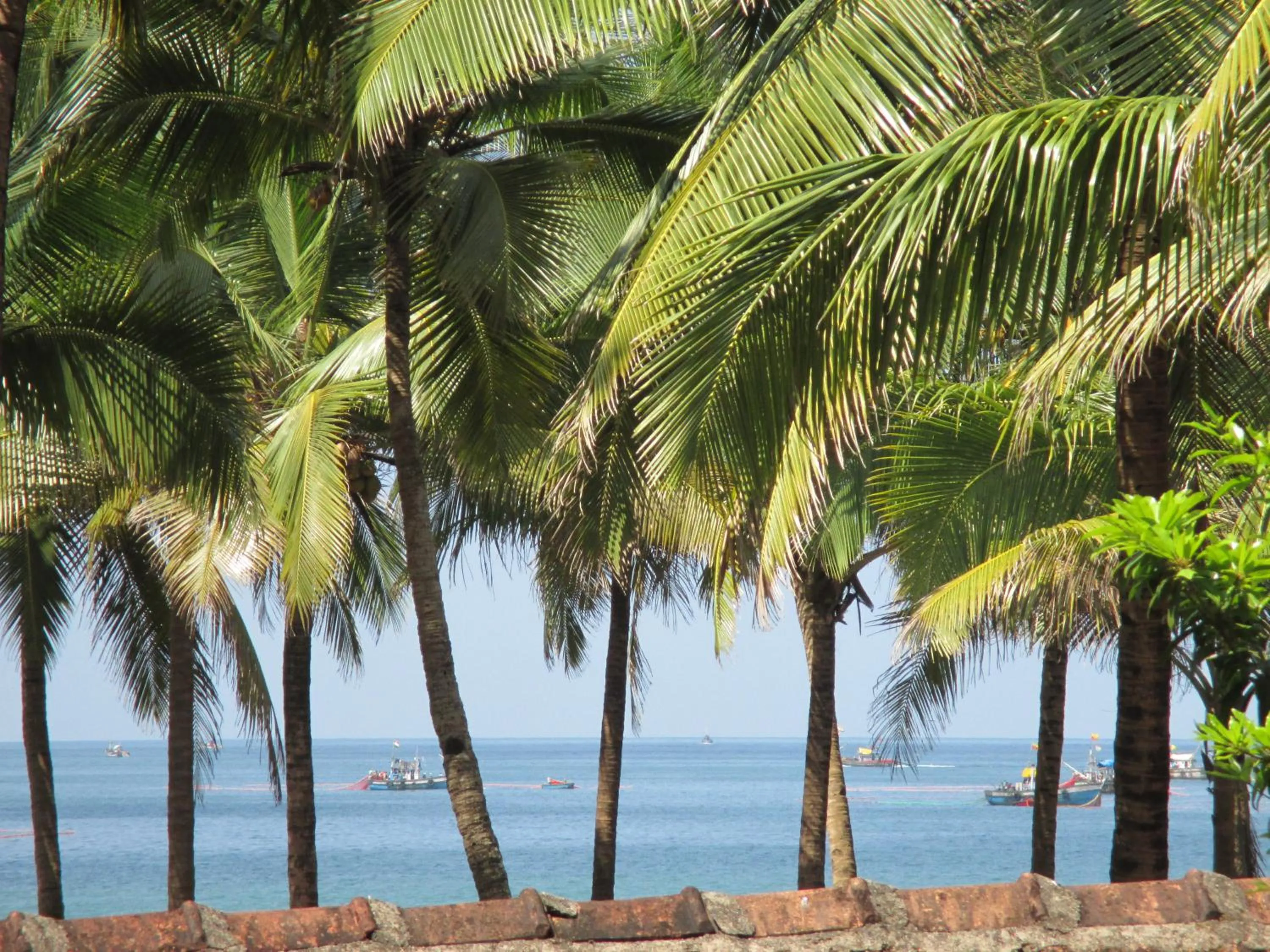 Beach in Maria Paulo Guest House Bar and Restaurant