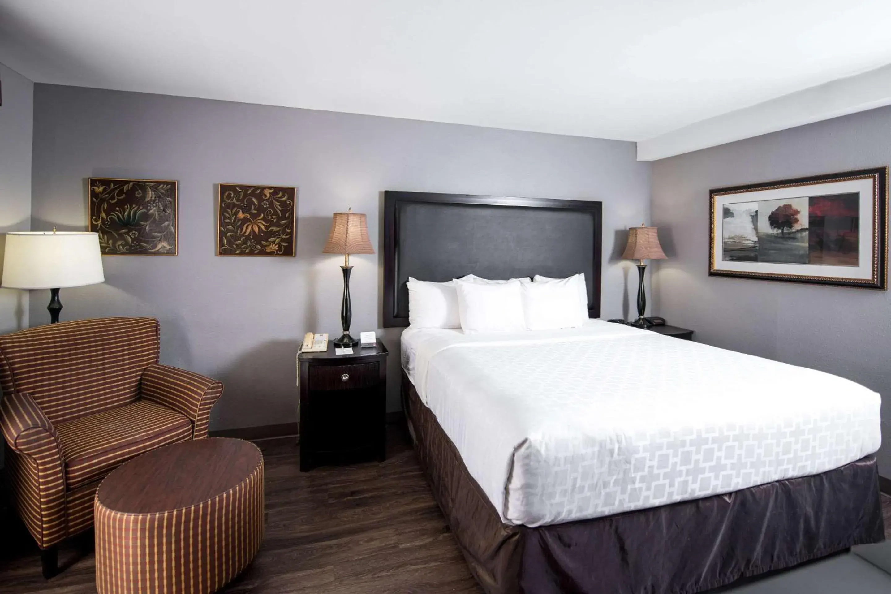 King Suite - Non-Smoking in Clarion Hotel & Conference Center Leesburg King Suite - Non-Smoking in Clarion Hotel & Conference Center Leesburg