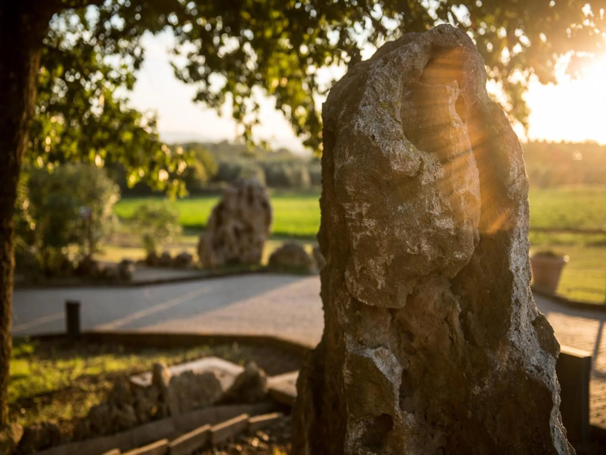 Garden in Terme Di Sorano Resort