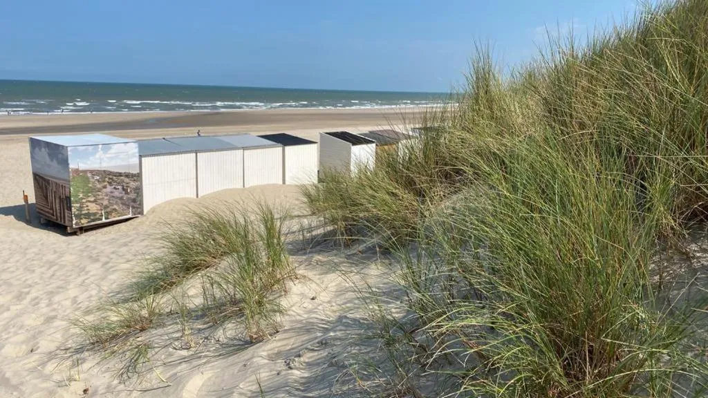 Beach in Strandhotel Dennenbos