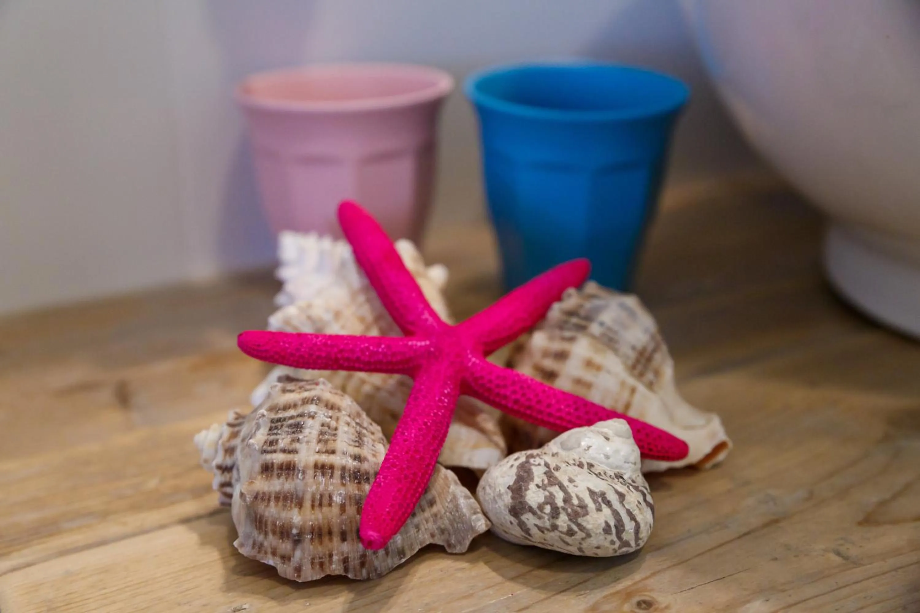 Decorative detail in Aruba Boutique Apartments - Adults Only