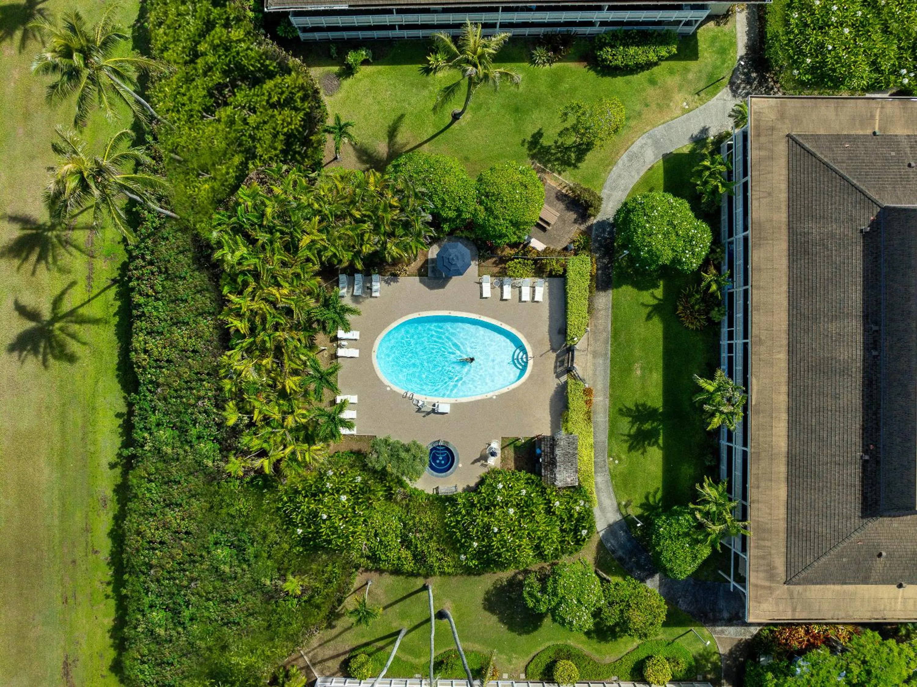 Bird's eye view in Plantation Hale Suites