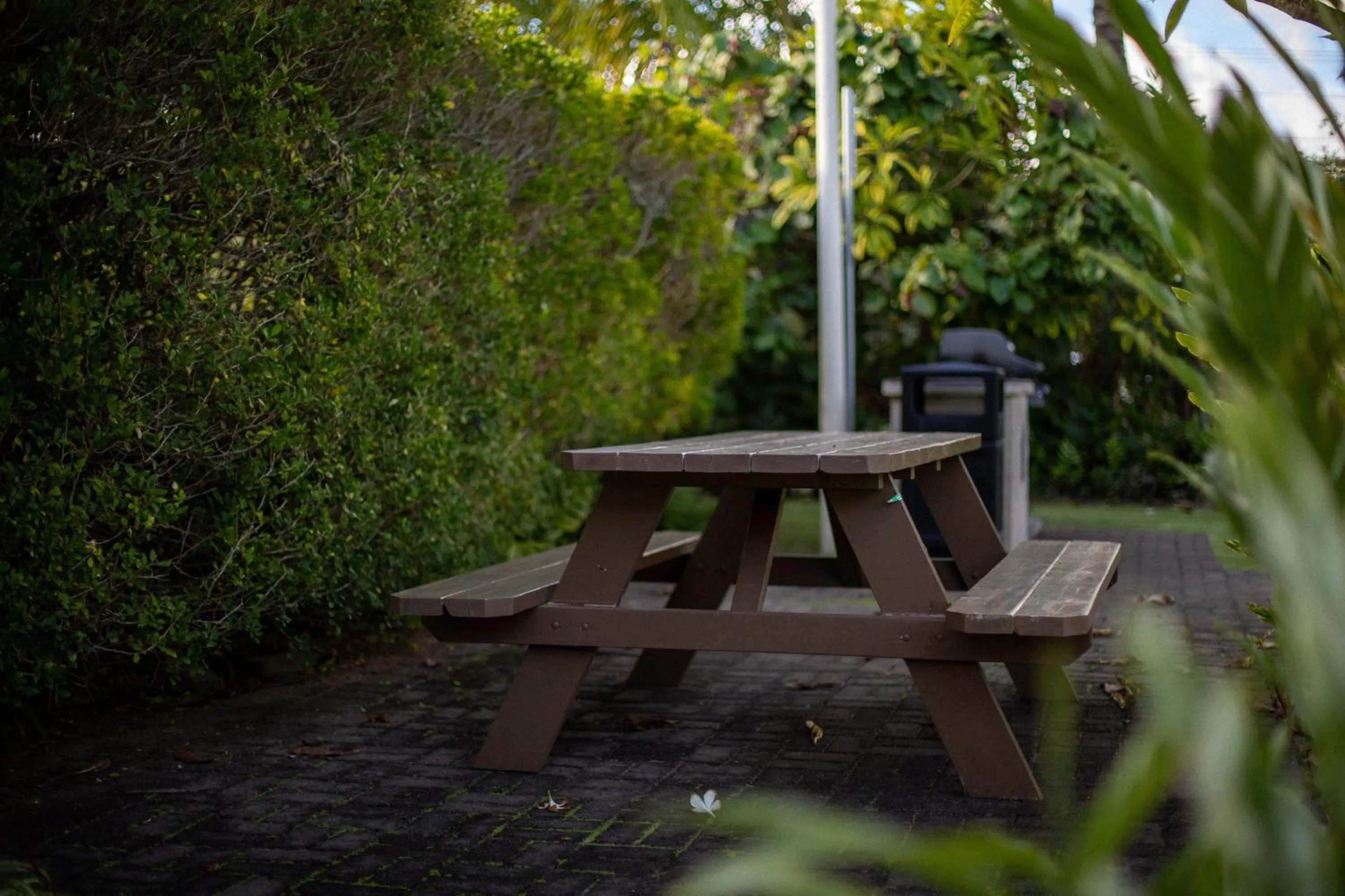 Property building in Plantation Hale Suites