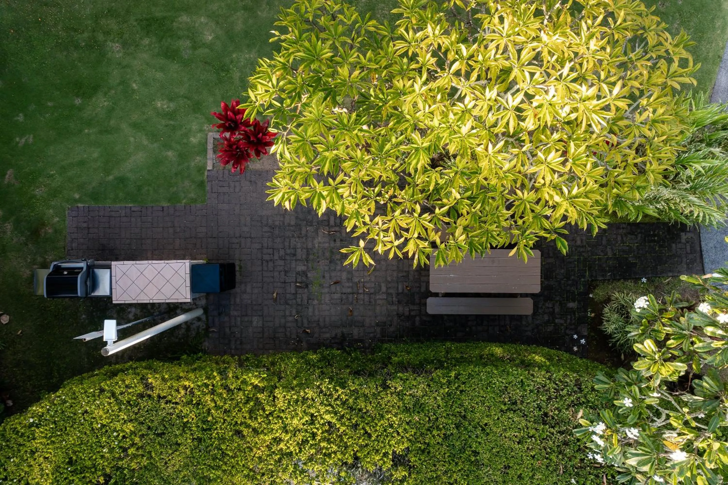 Bird's eye view in Plantation Hale Suites