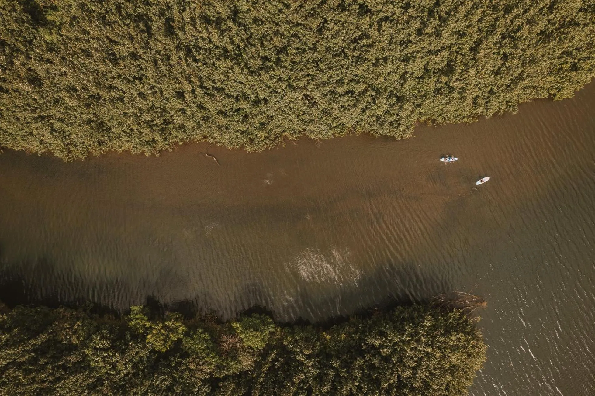 Area and facilities in Plantation Hale Suites