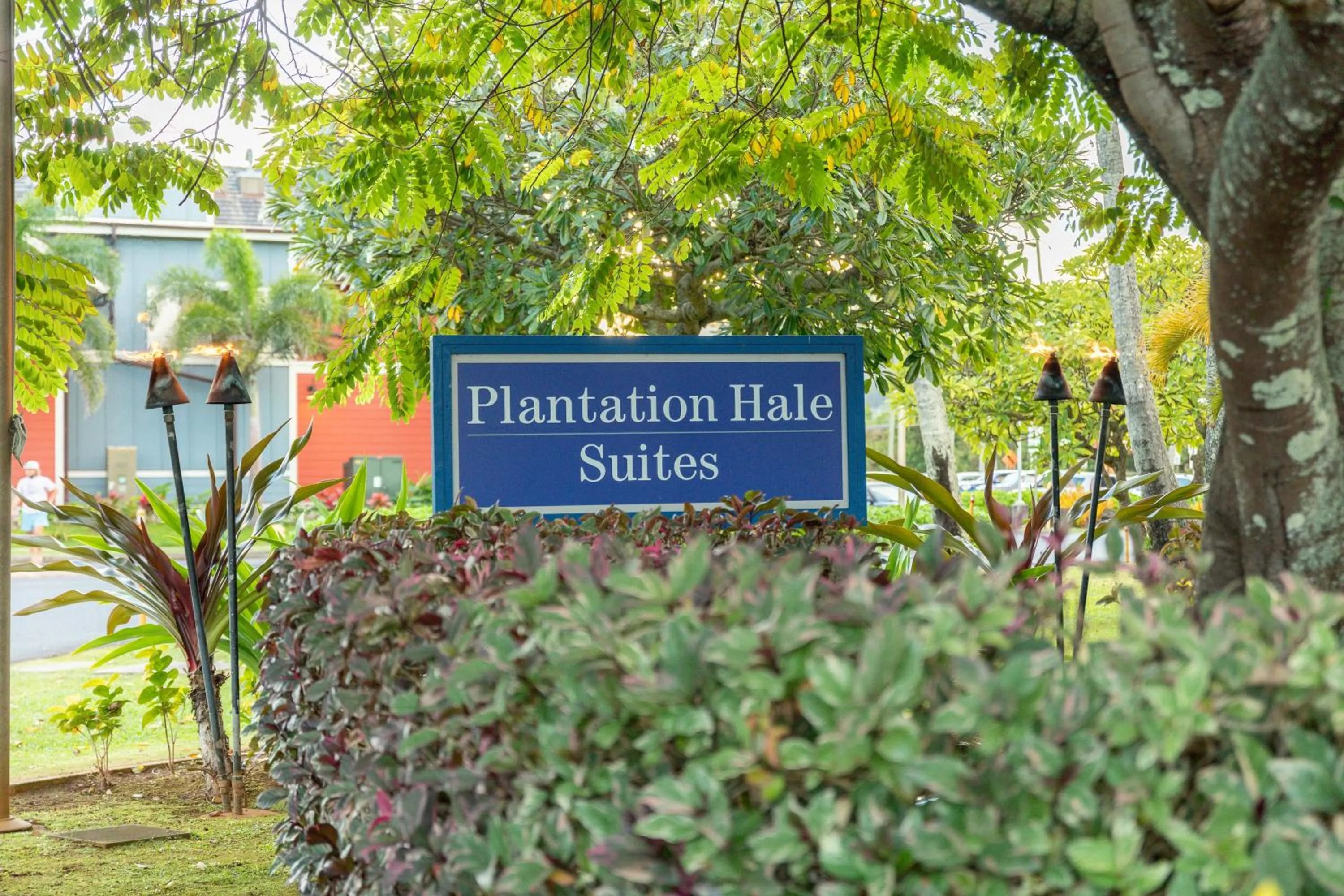 Property building in Plantation Hale Suites