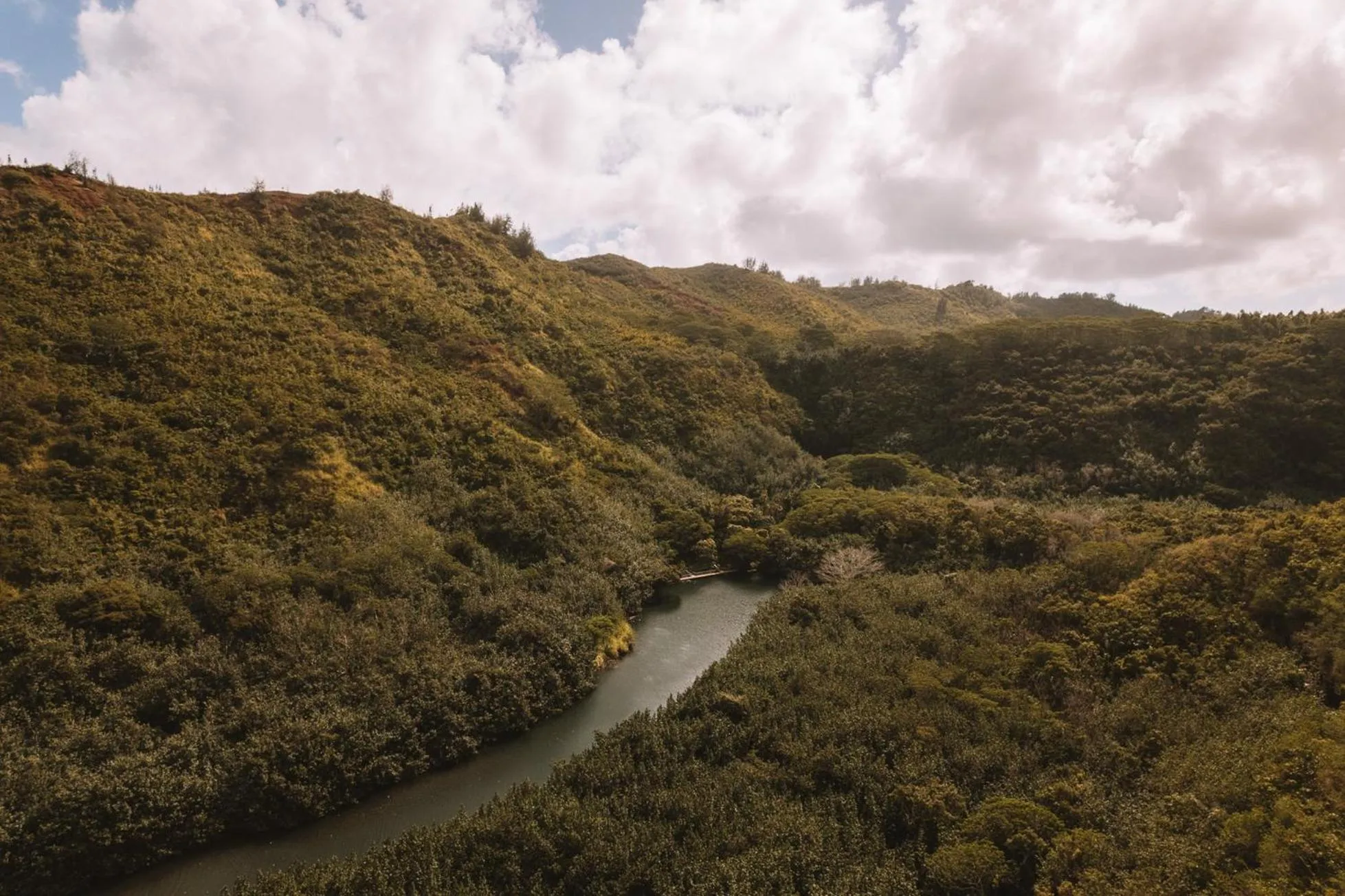 Area and facilities in Plantation Hale Suites