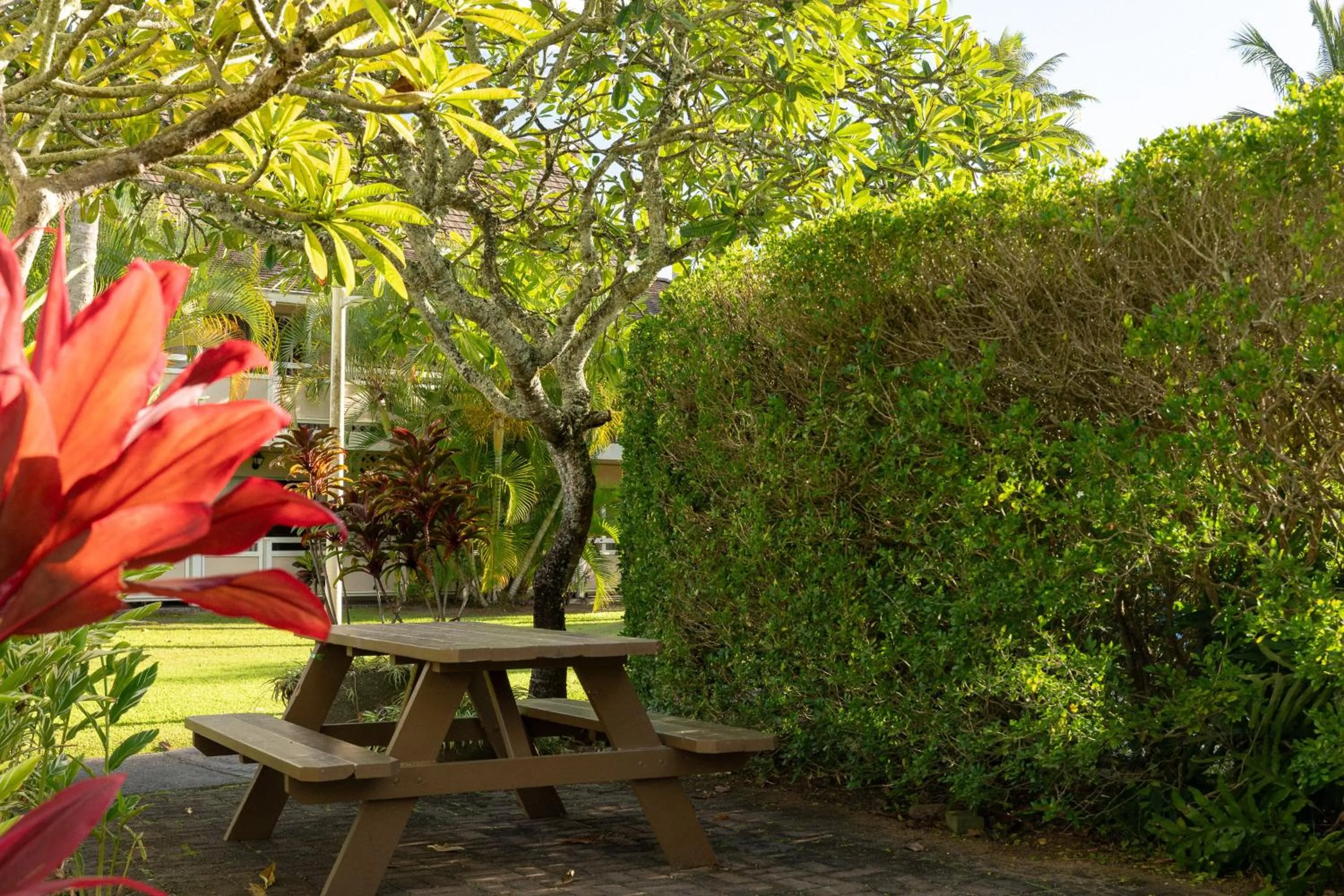 Property building in Plantation Hale Suites